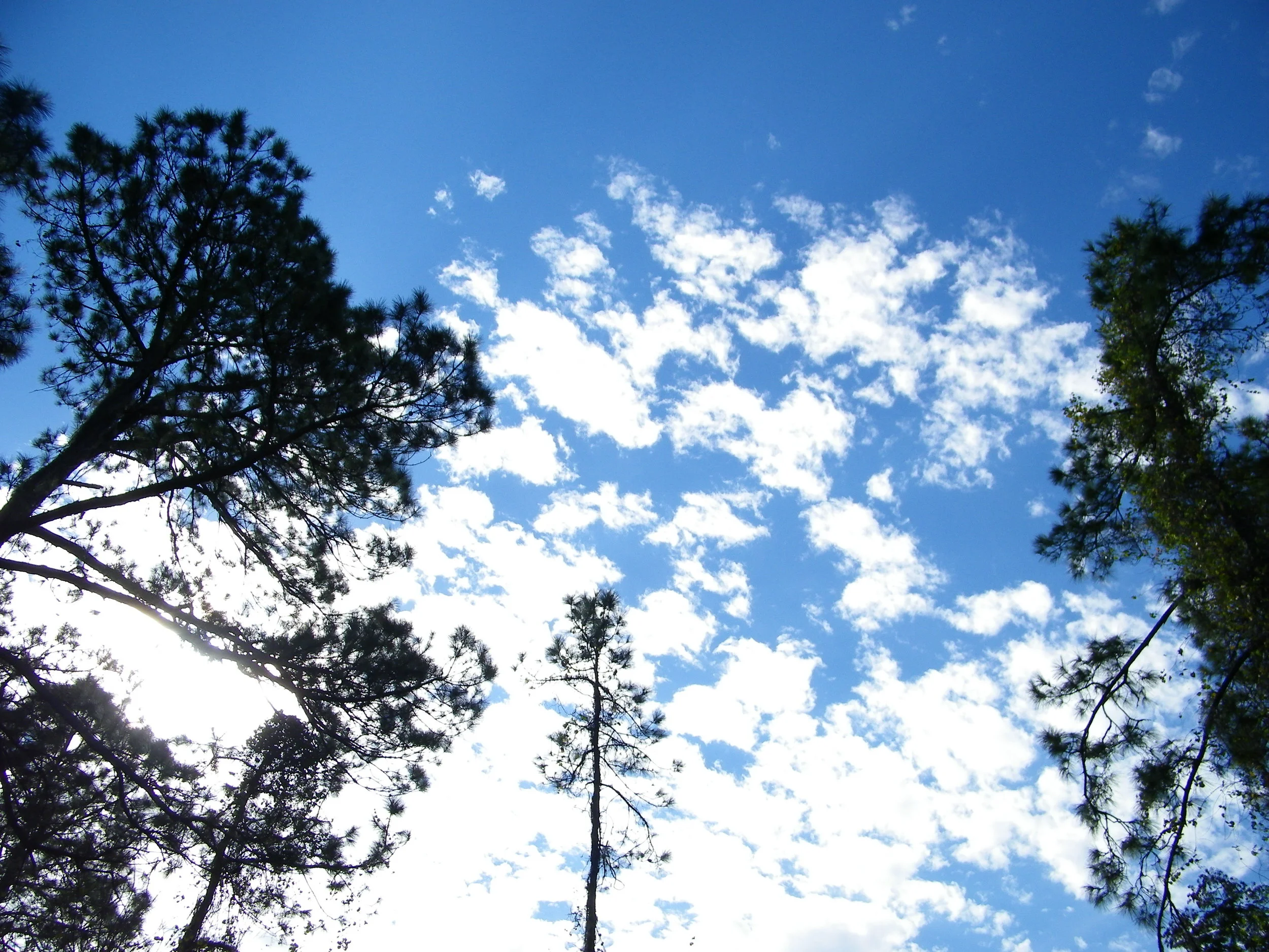 100_0079.JPG