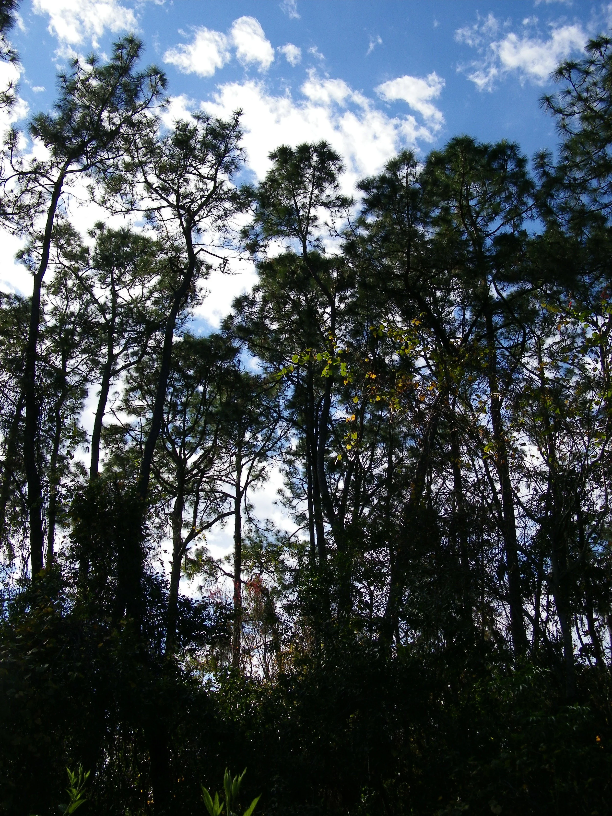 100_0084.JPG