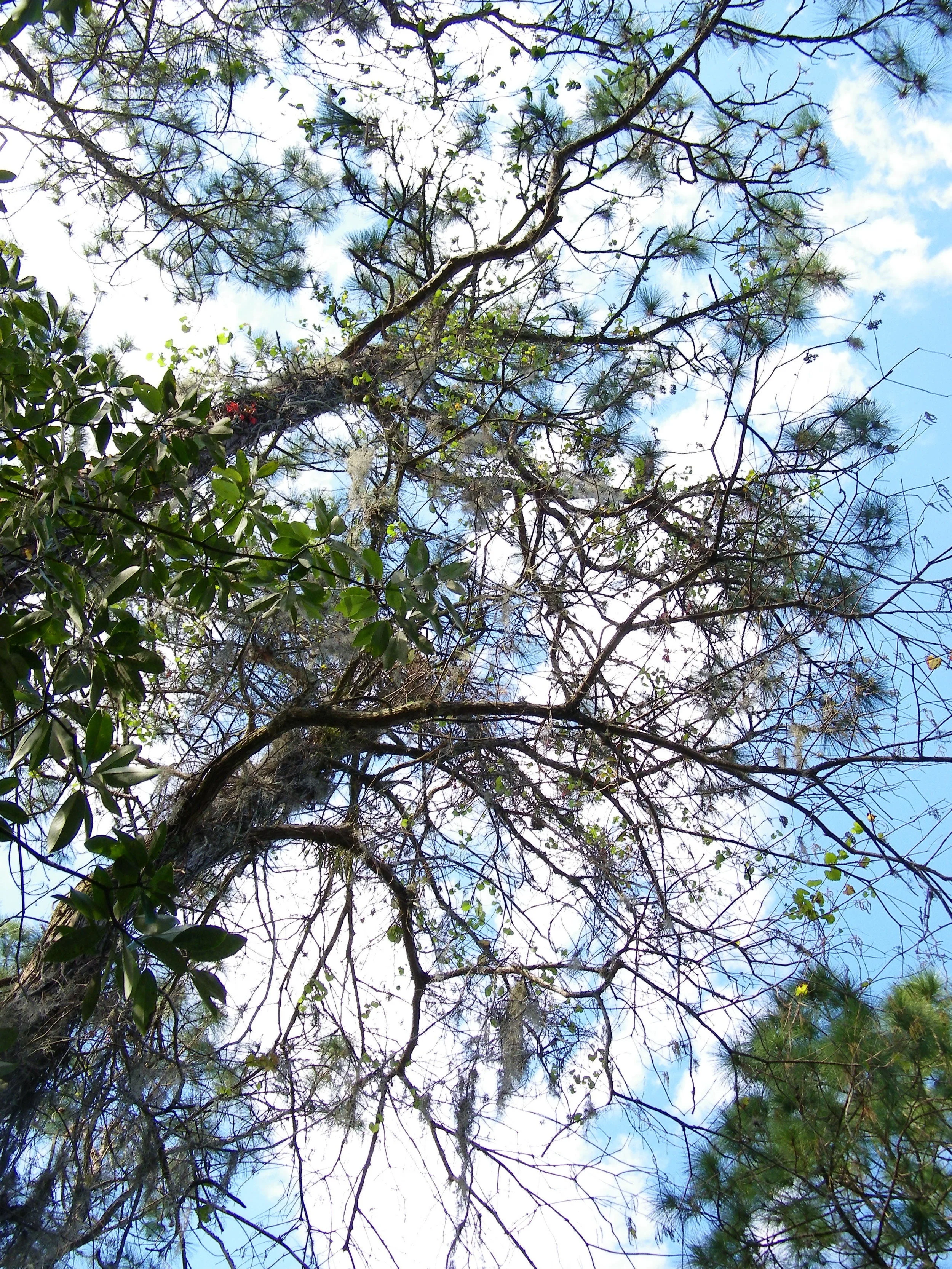 100_0107.JPG