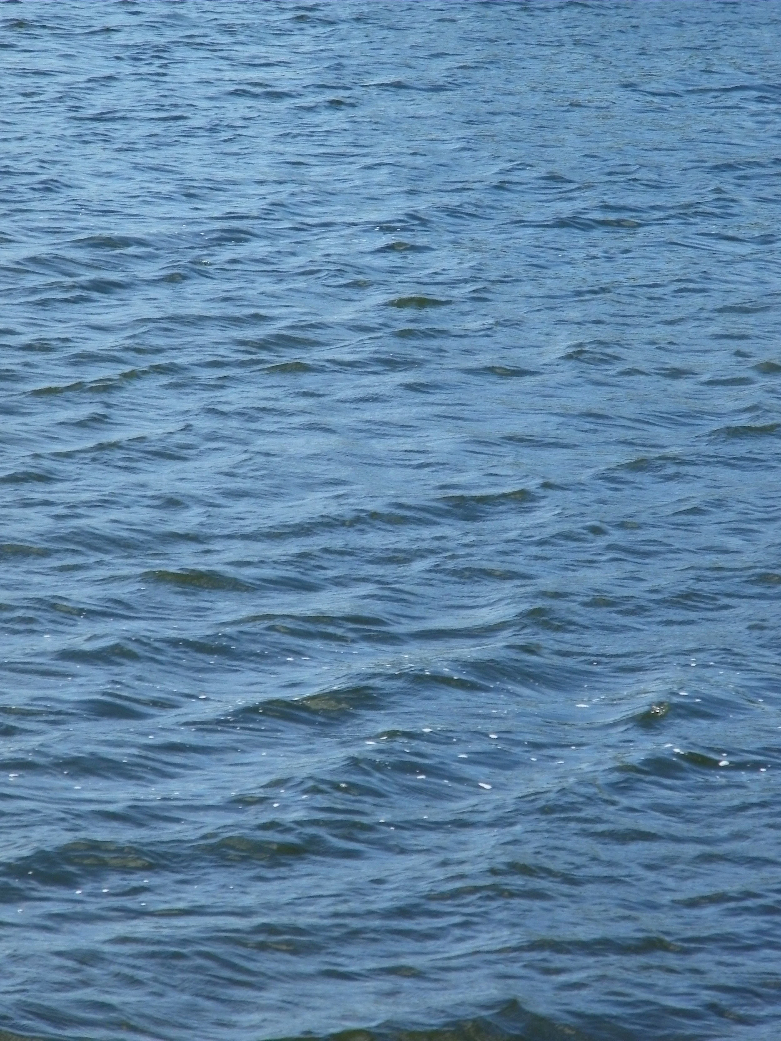 100_0123.JPG