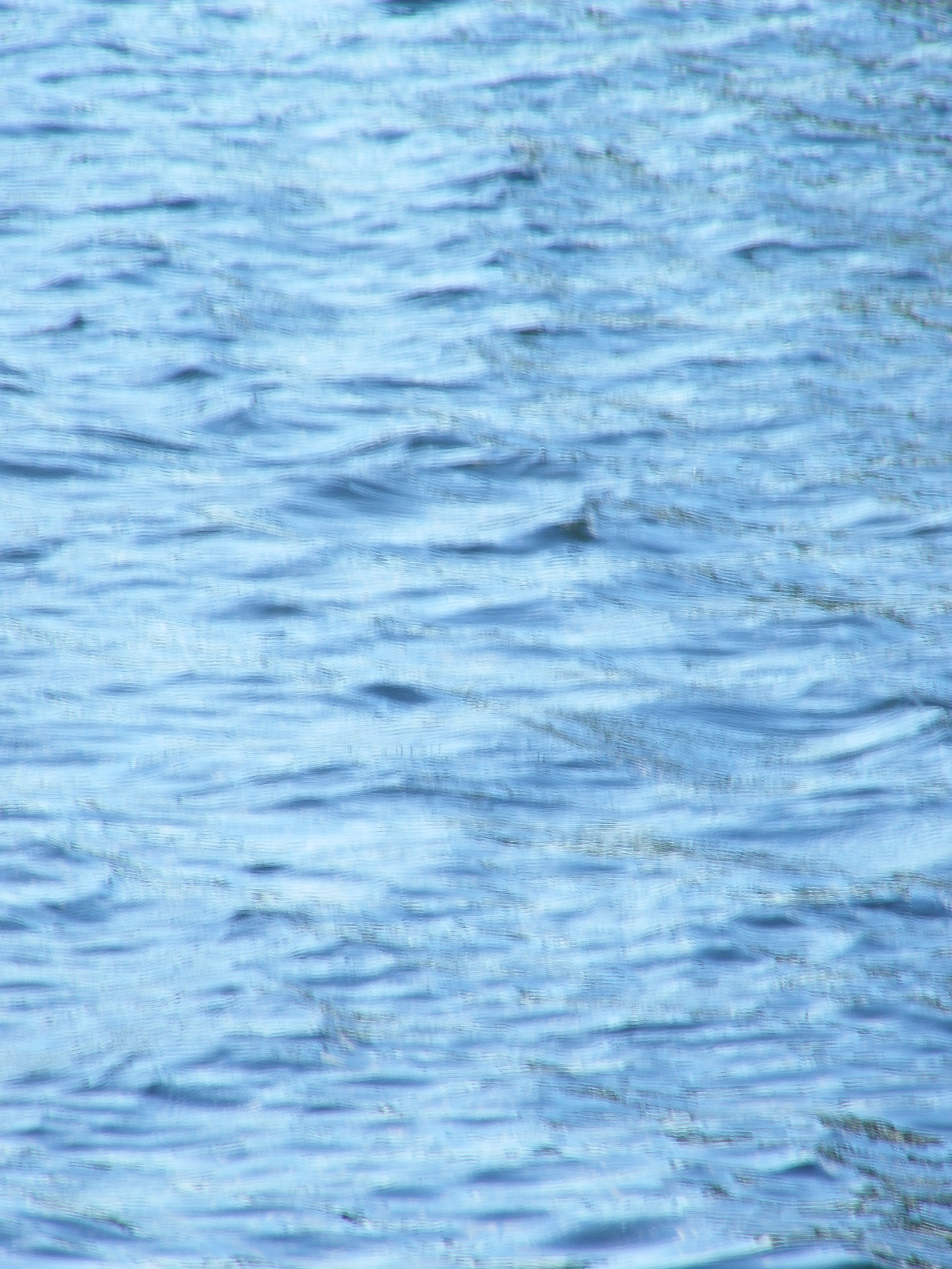 100_0146.JPG