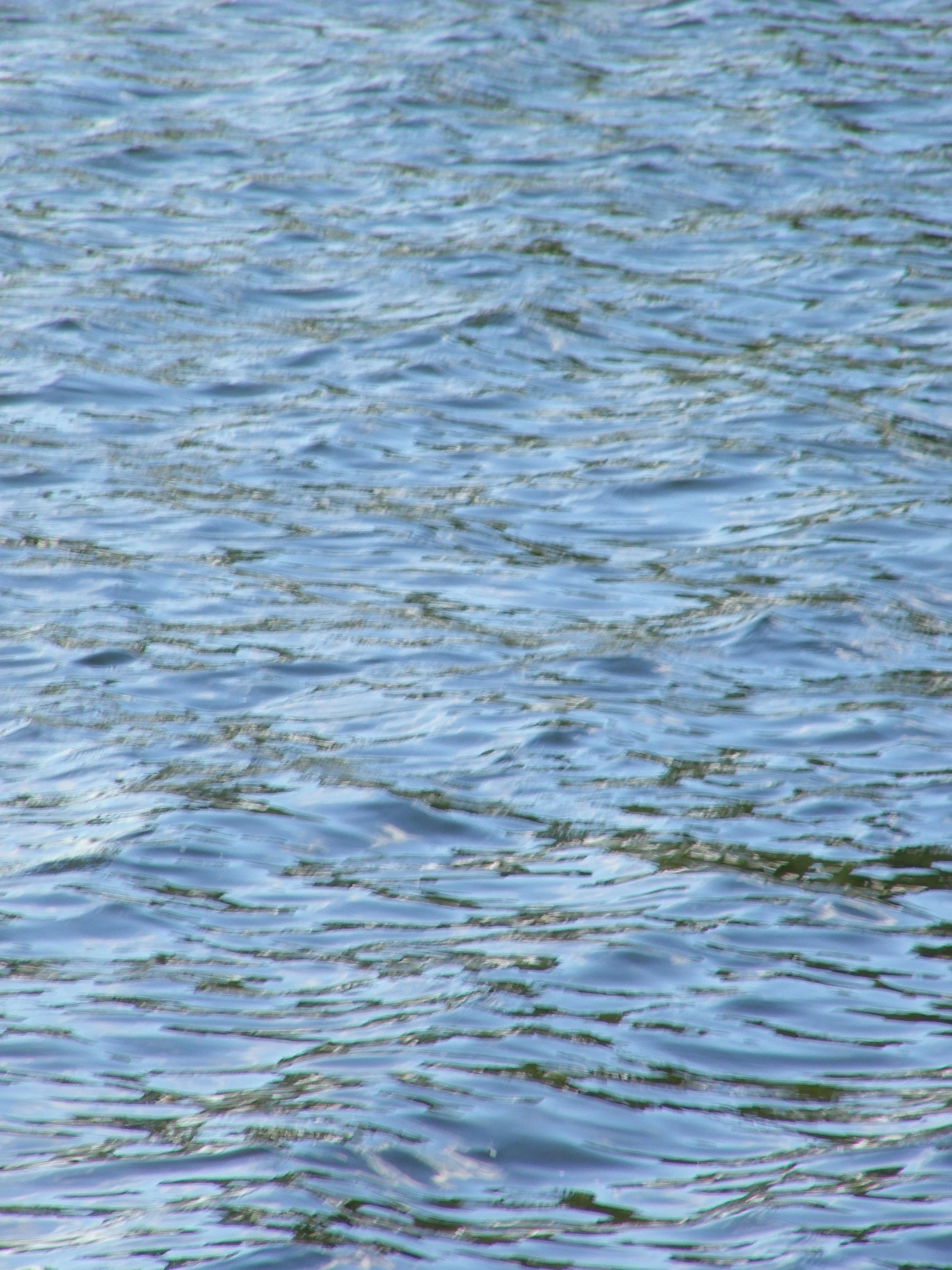 100_0150.JPG