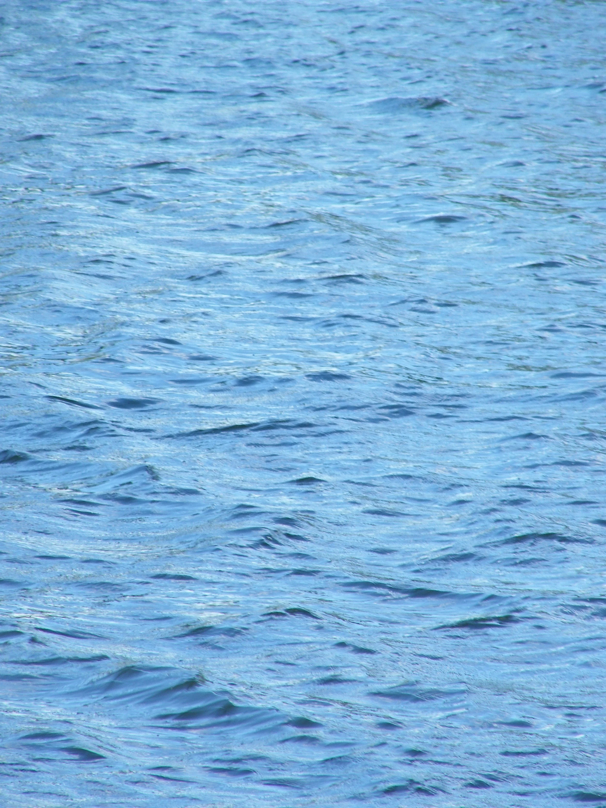 100_0156.JPG