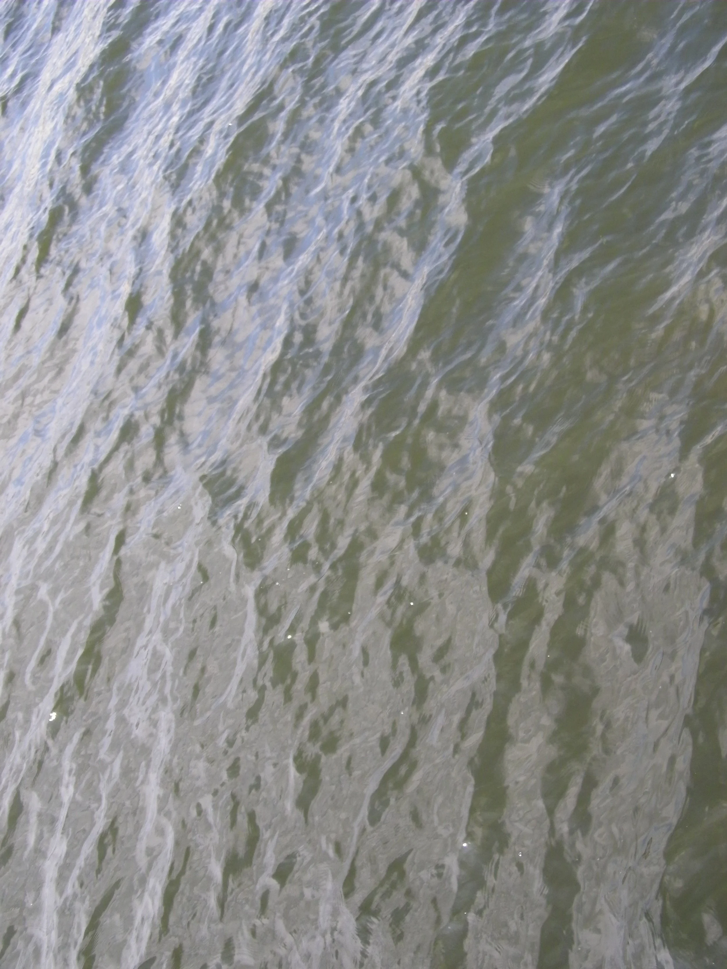 100_0223.JPG