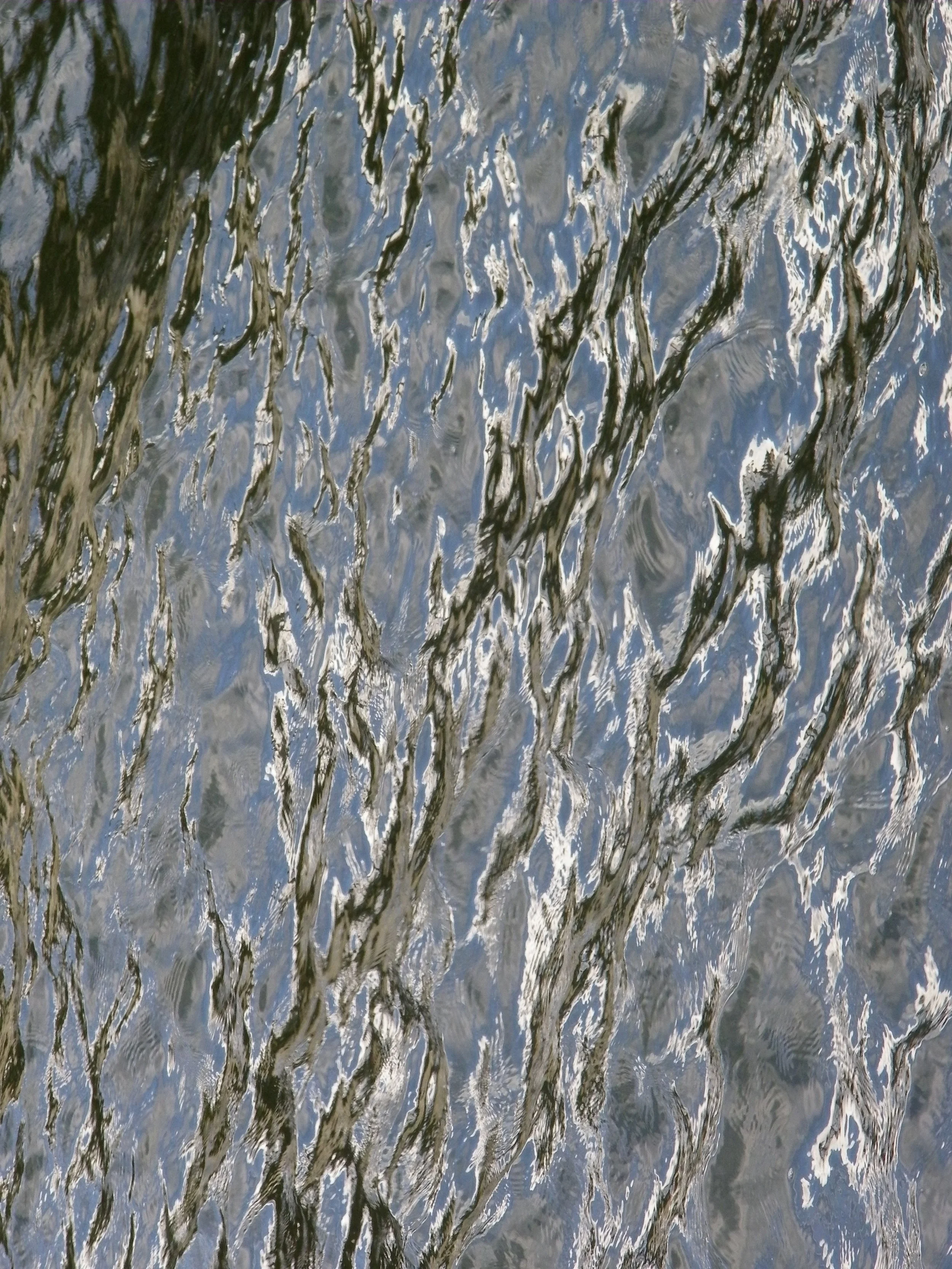 100_0234.JPG