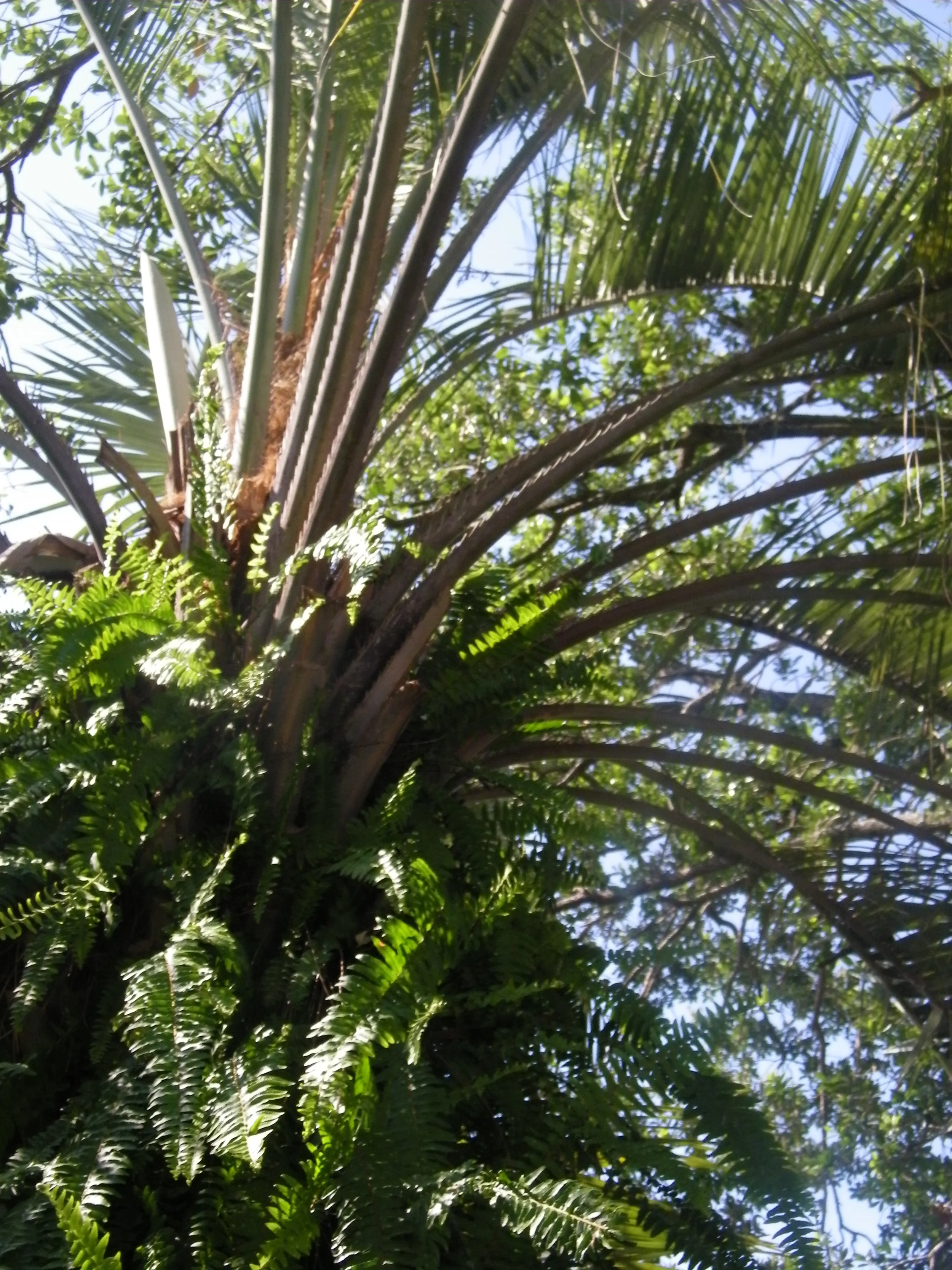 100_5820.JPG