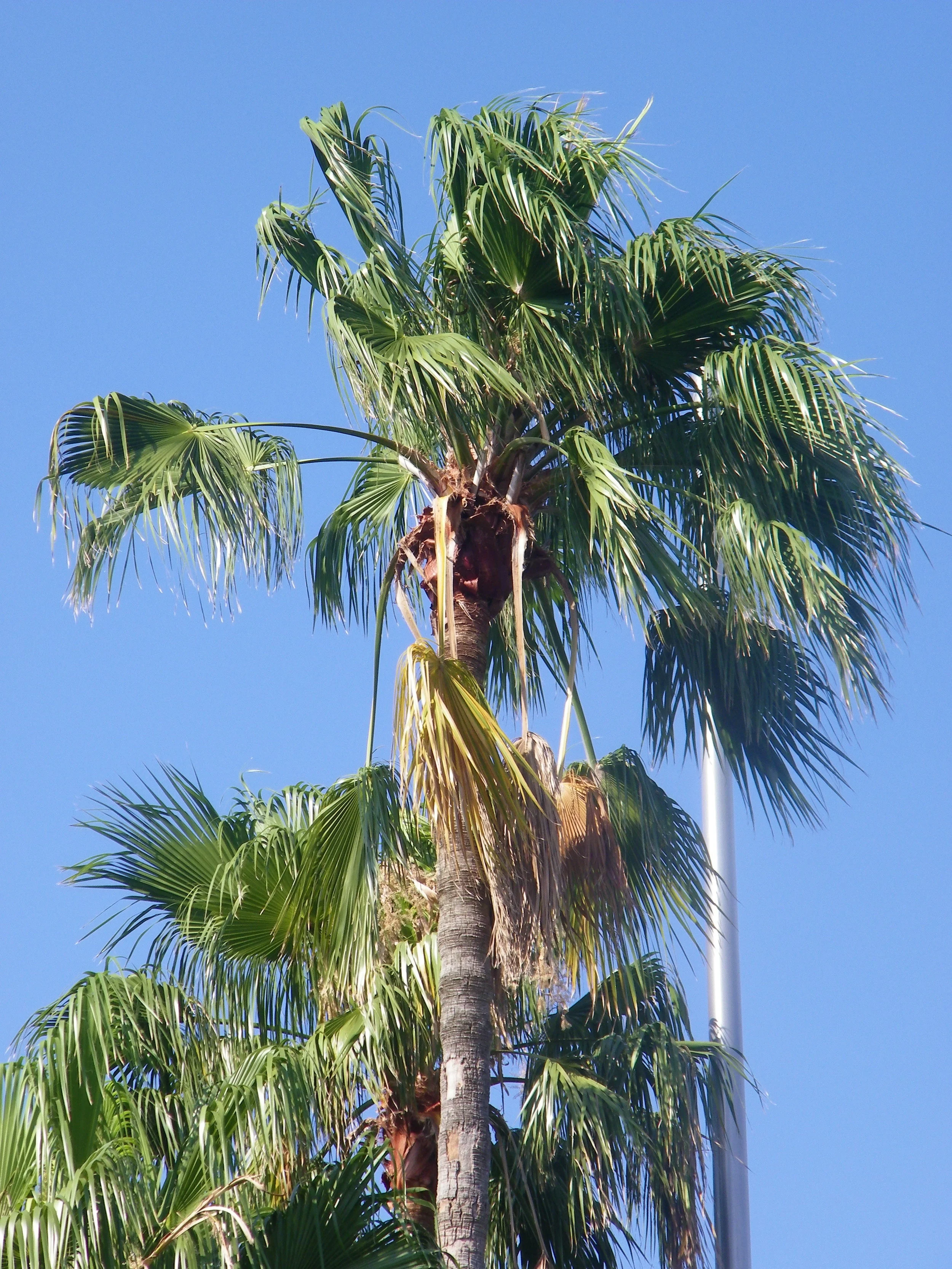100_5867.JPG