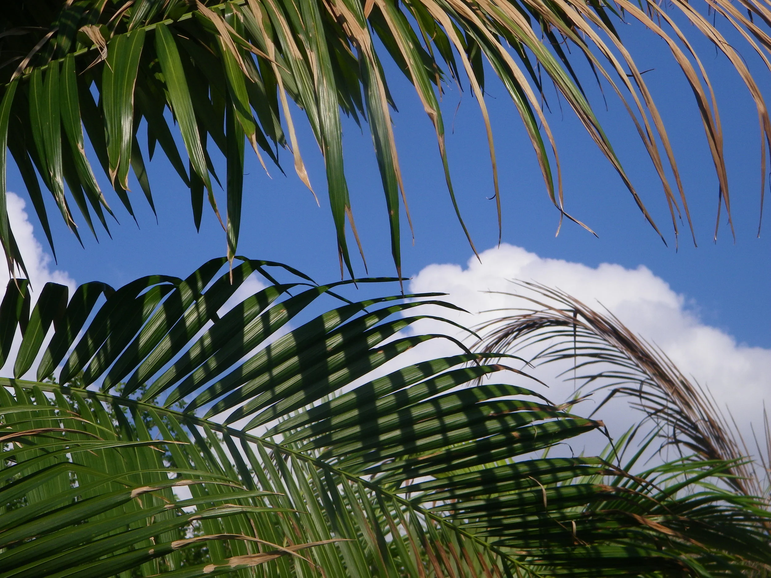 100_5944.JPG