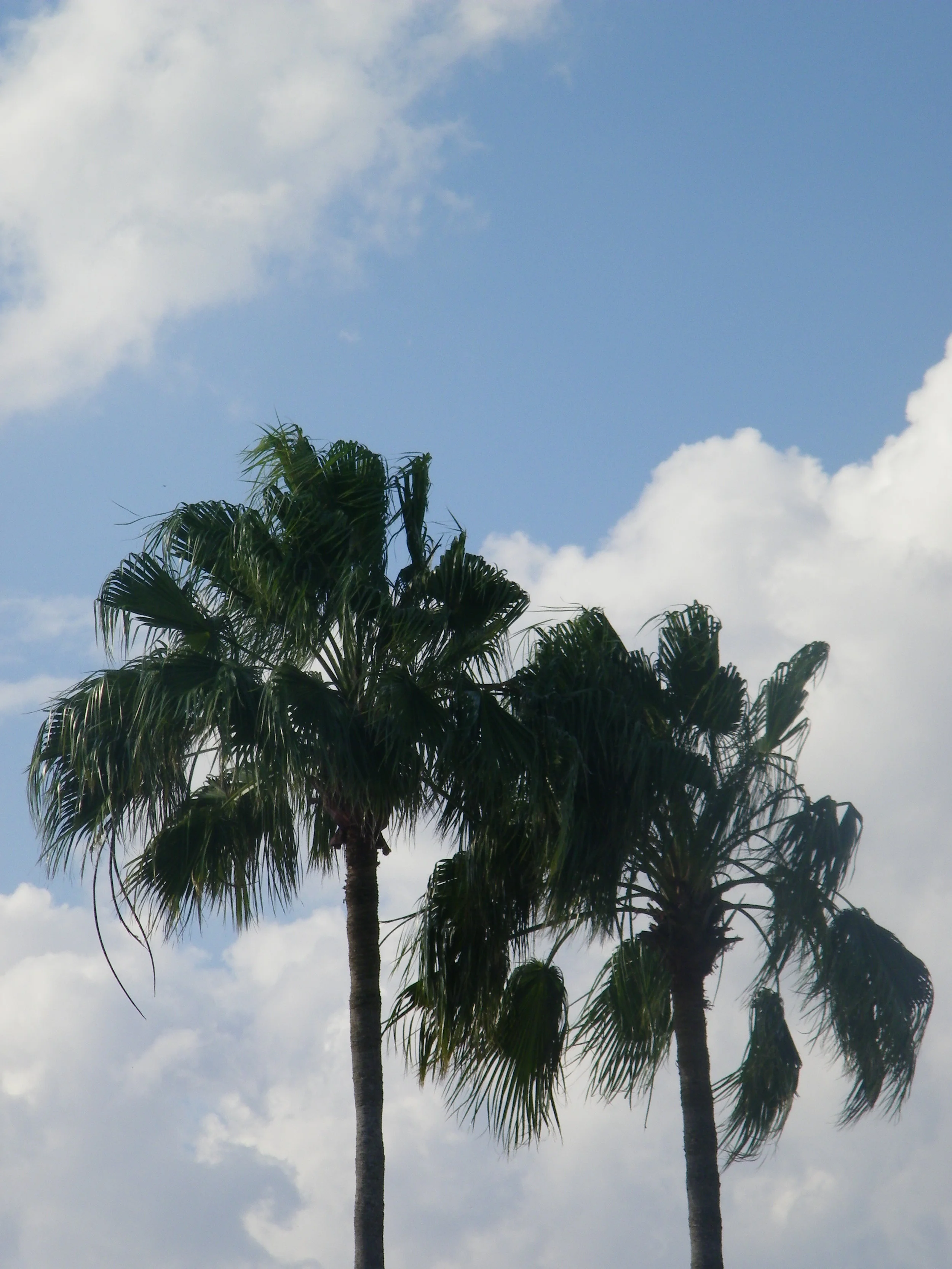 100_5982.JPG