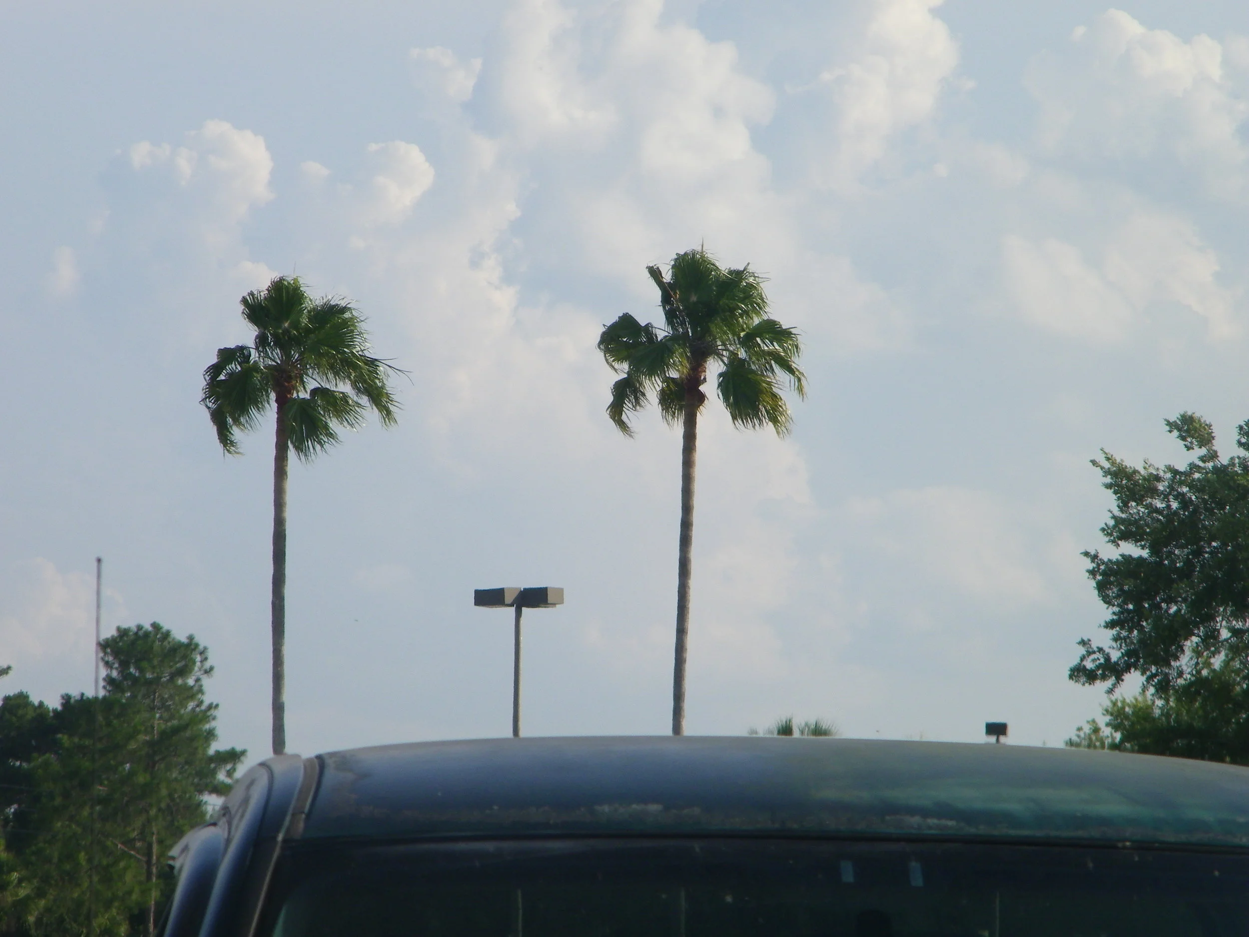 100_6003.JPG