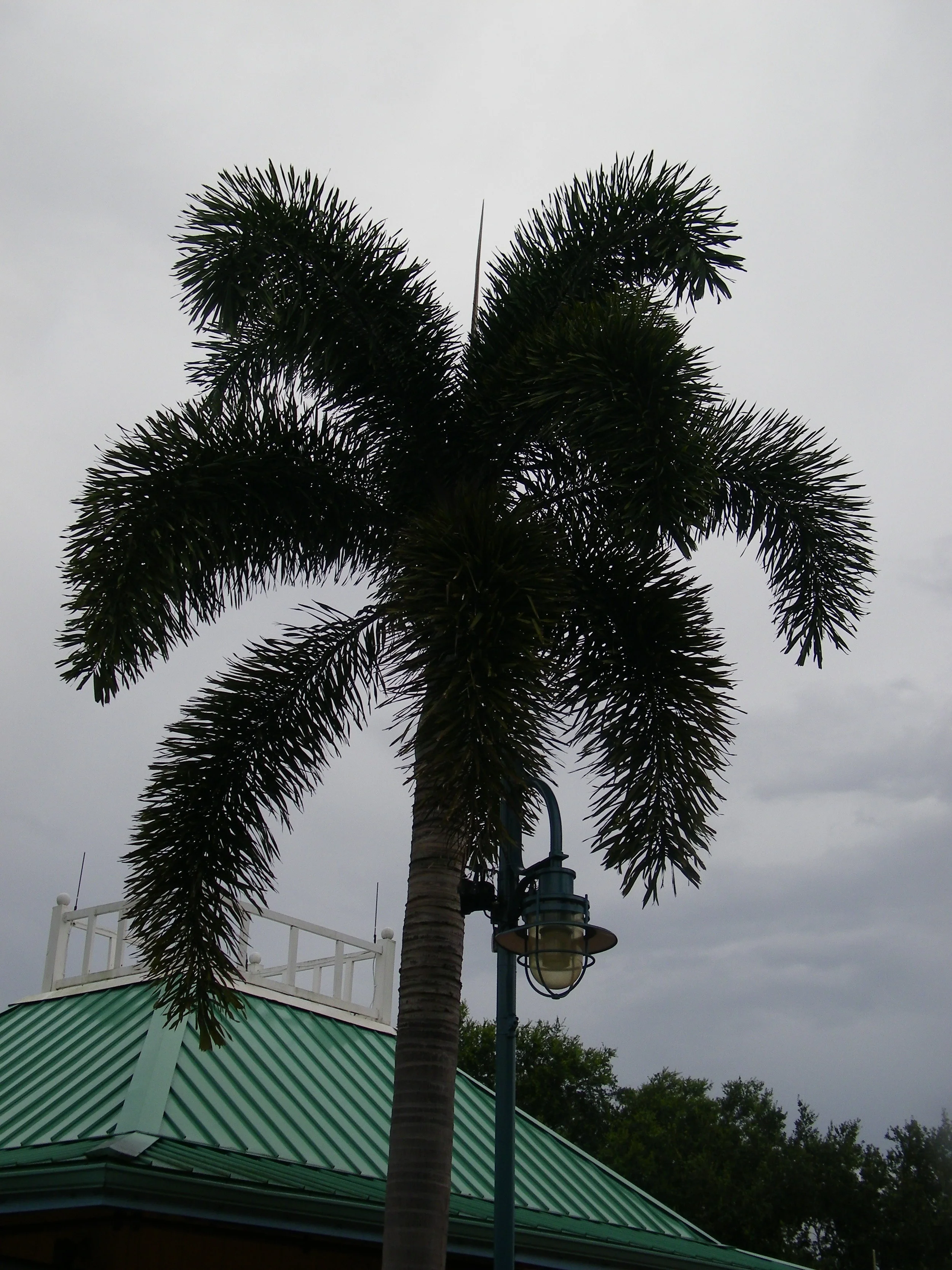 100_7104.JPG