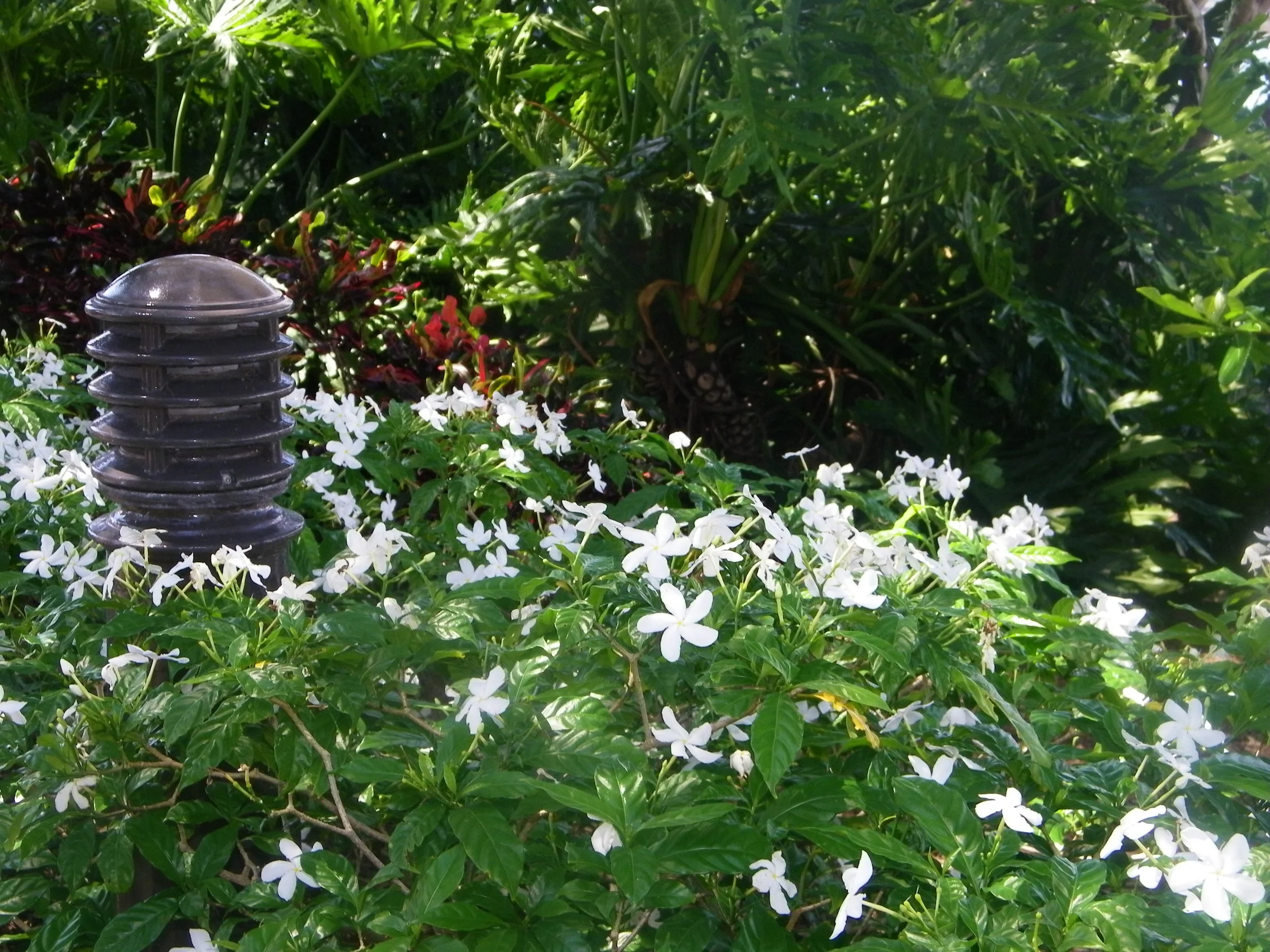 100_5608.JPG