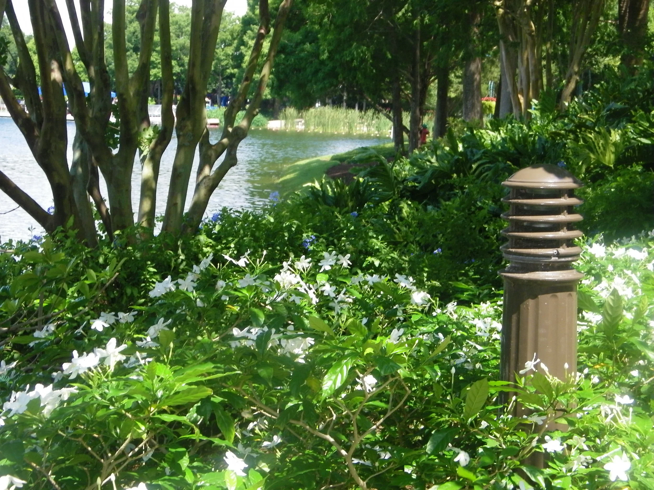 100_5609.JPG