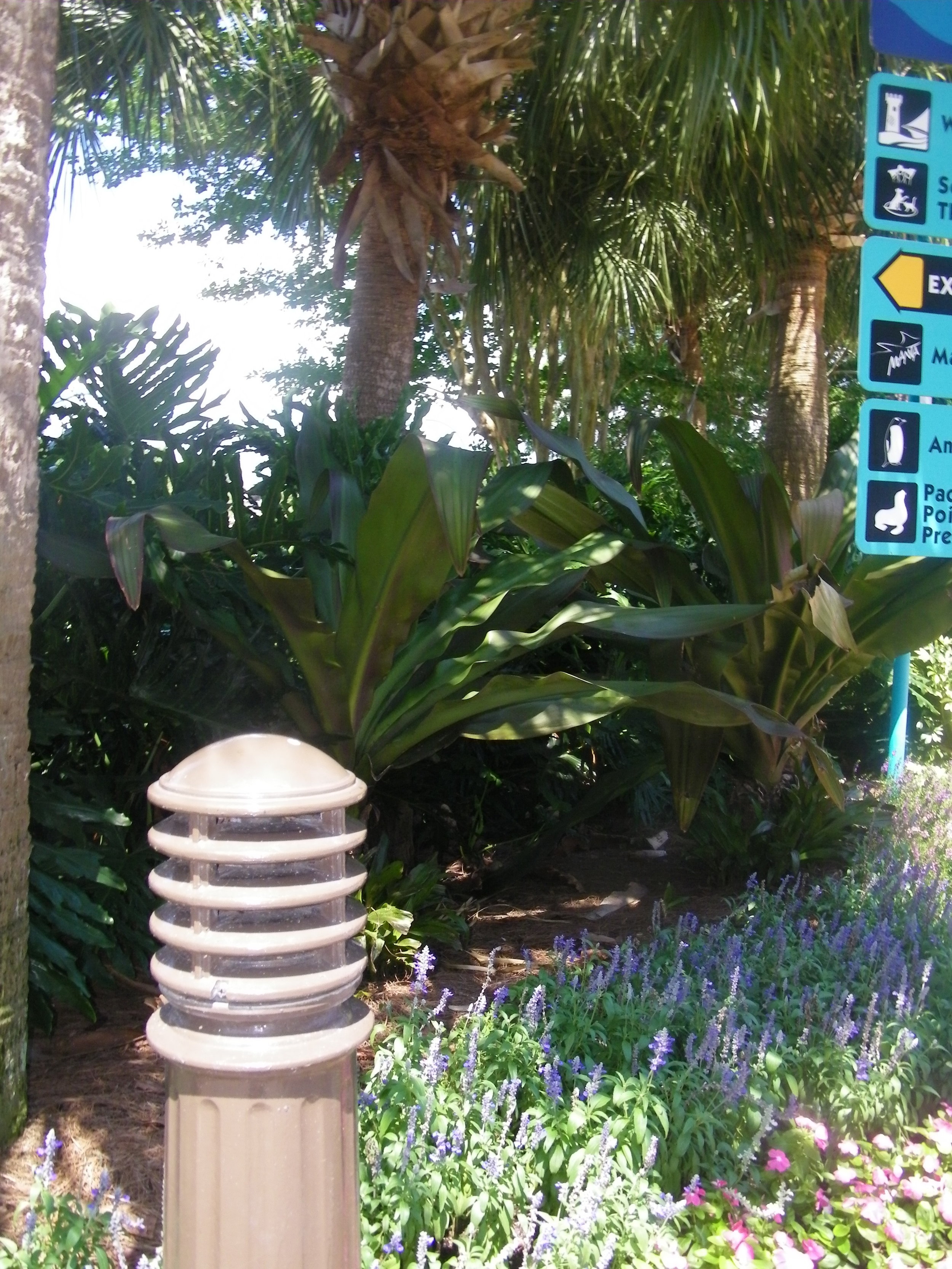 100_5611.JPG