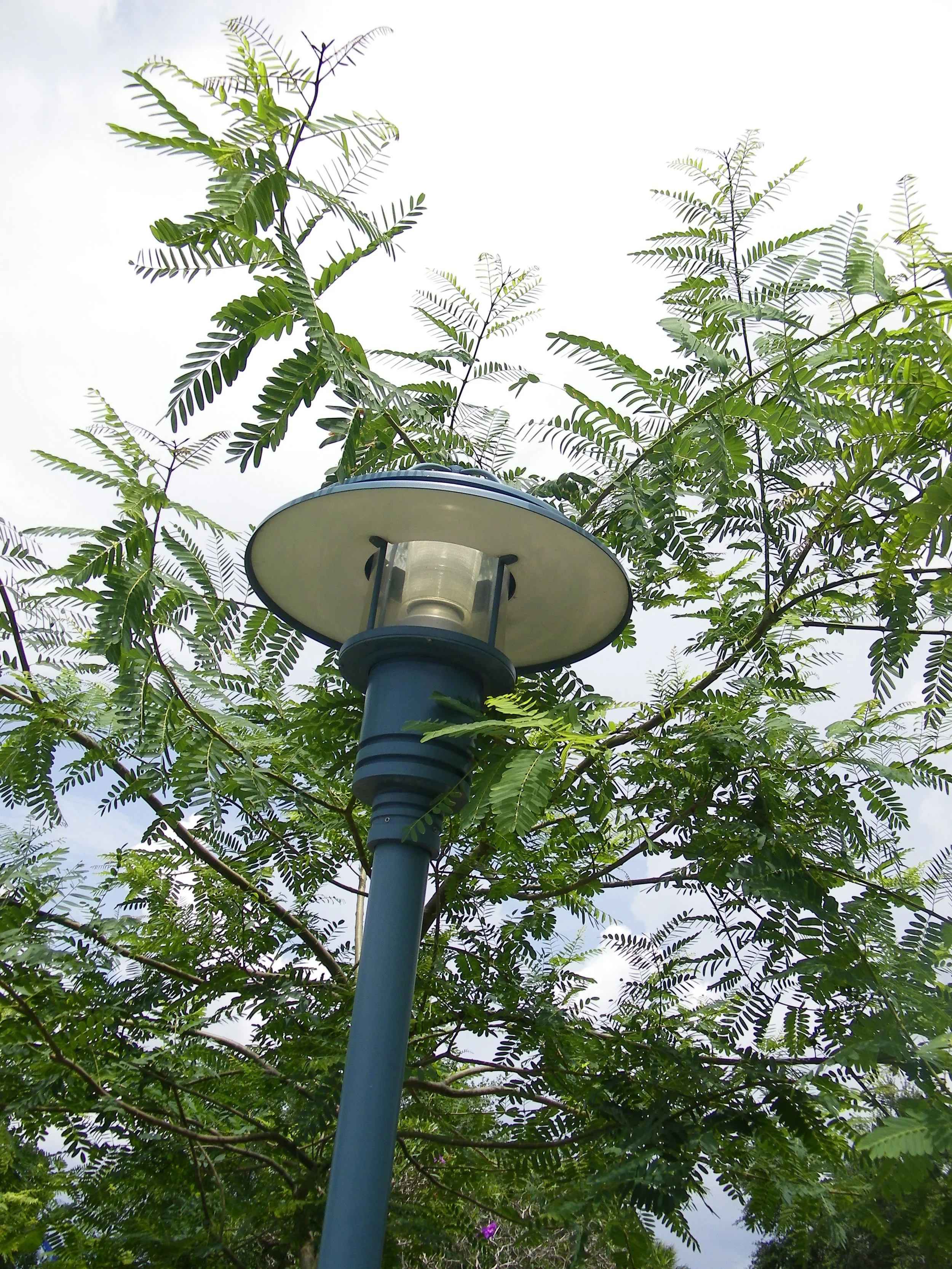 100_6795.JPG