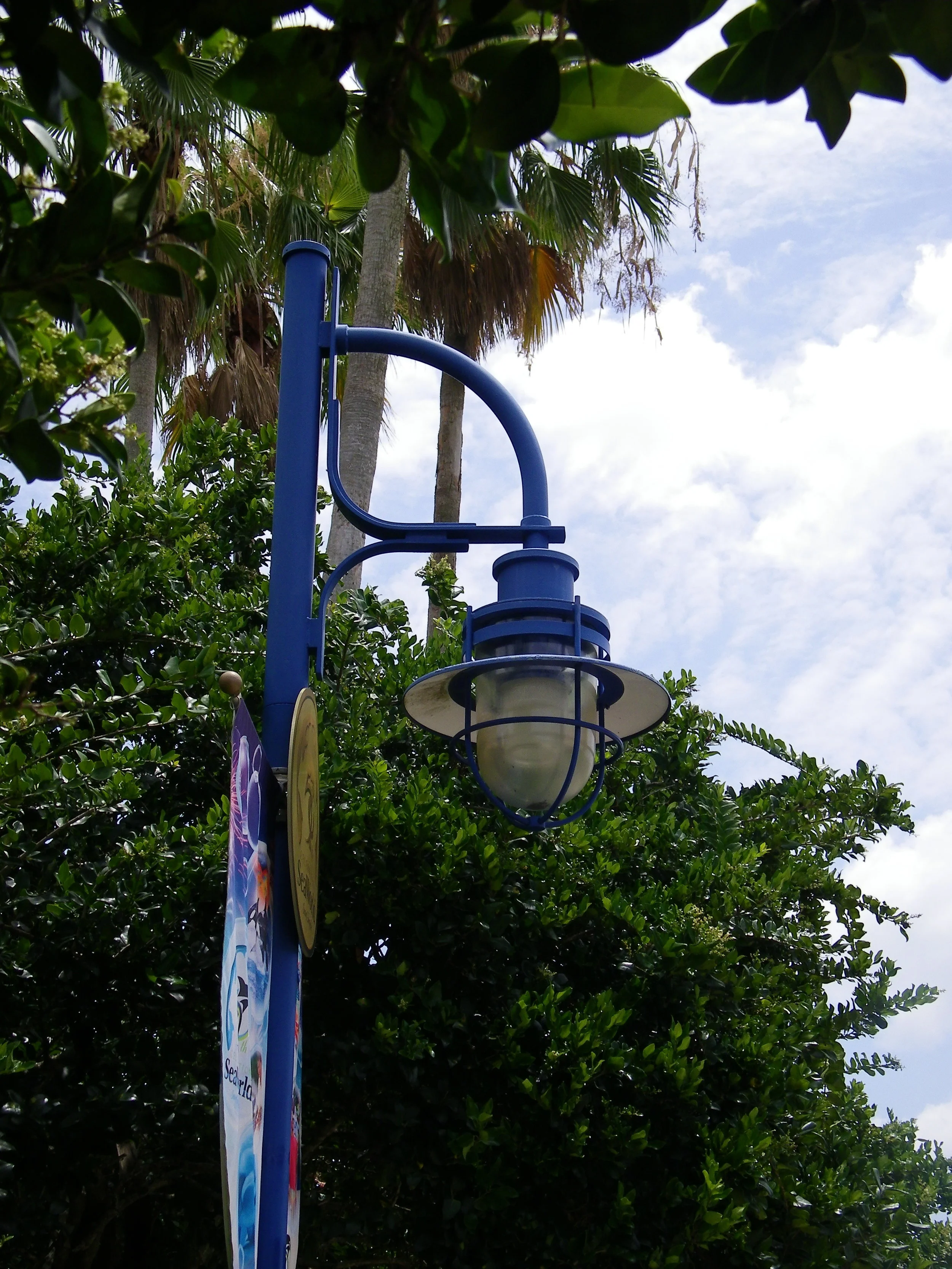 100_6804.JPG