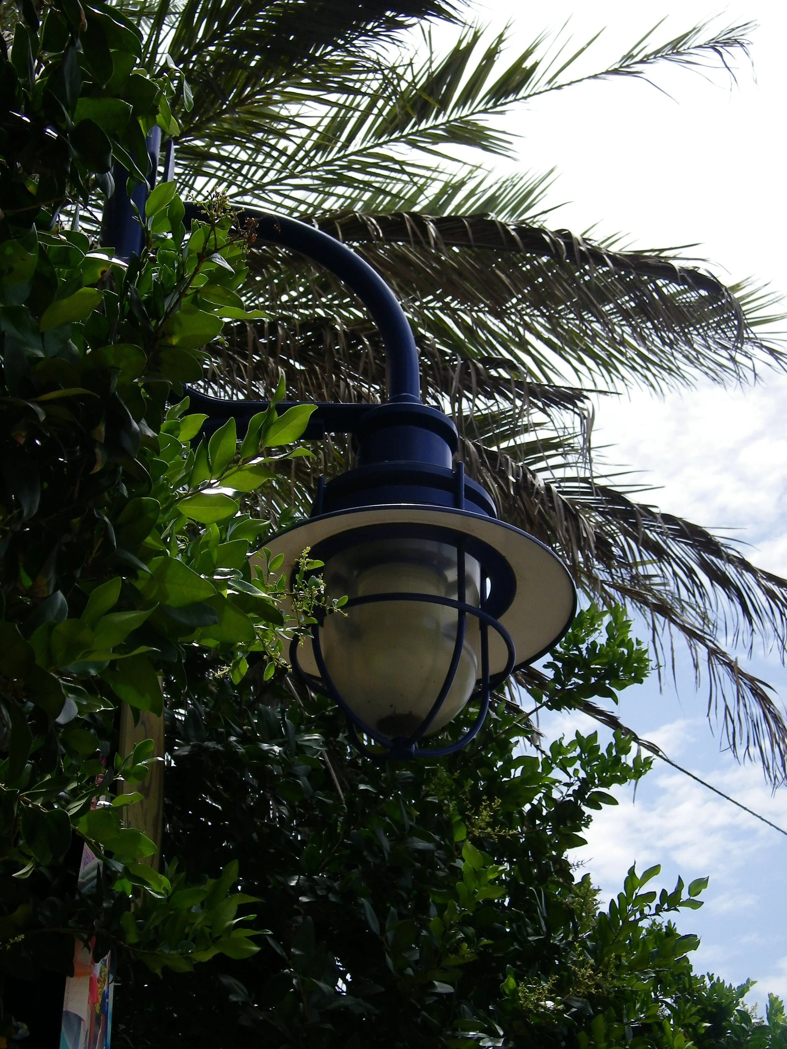 100_6806.JPG