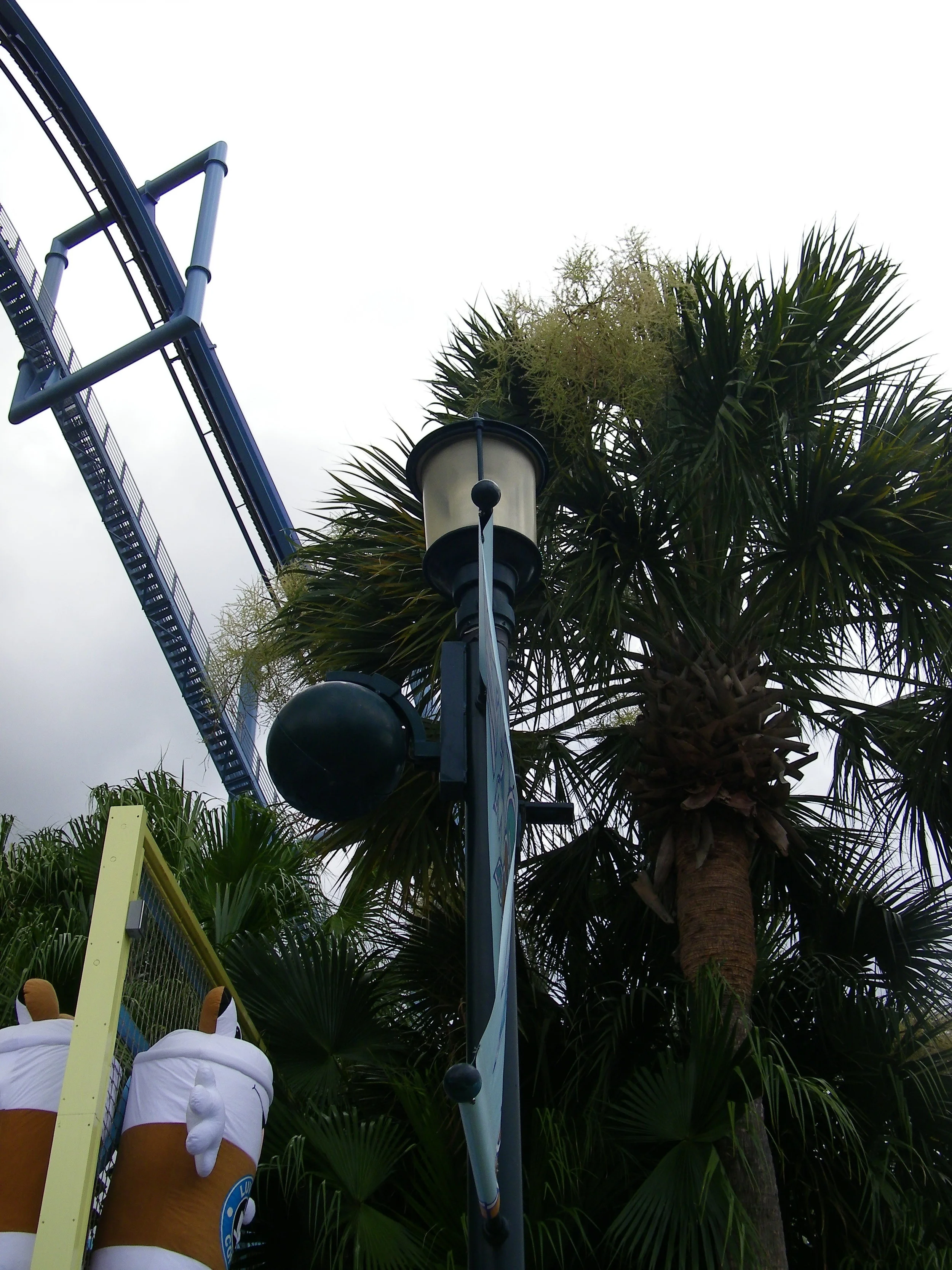 100_6835.JPG