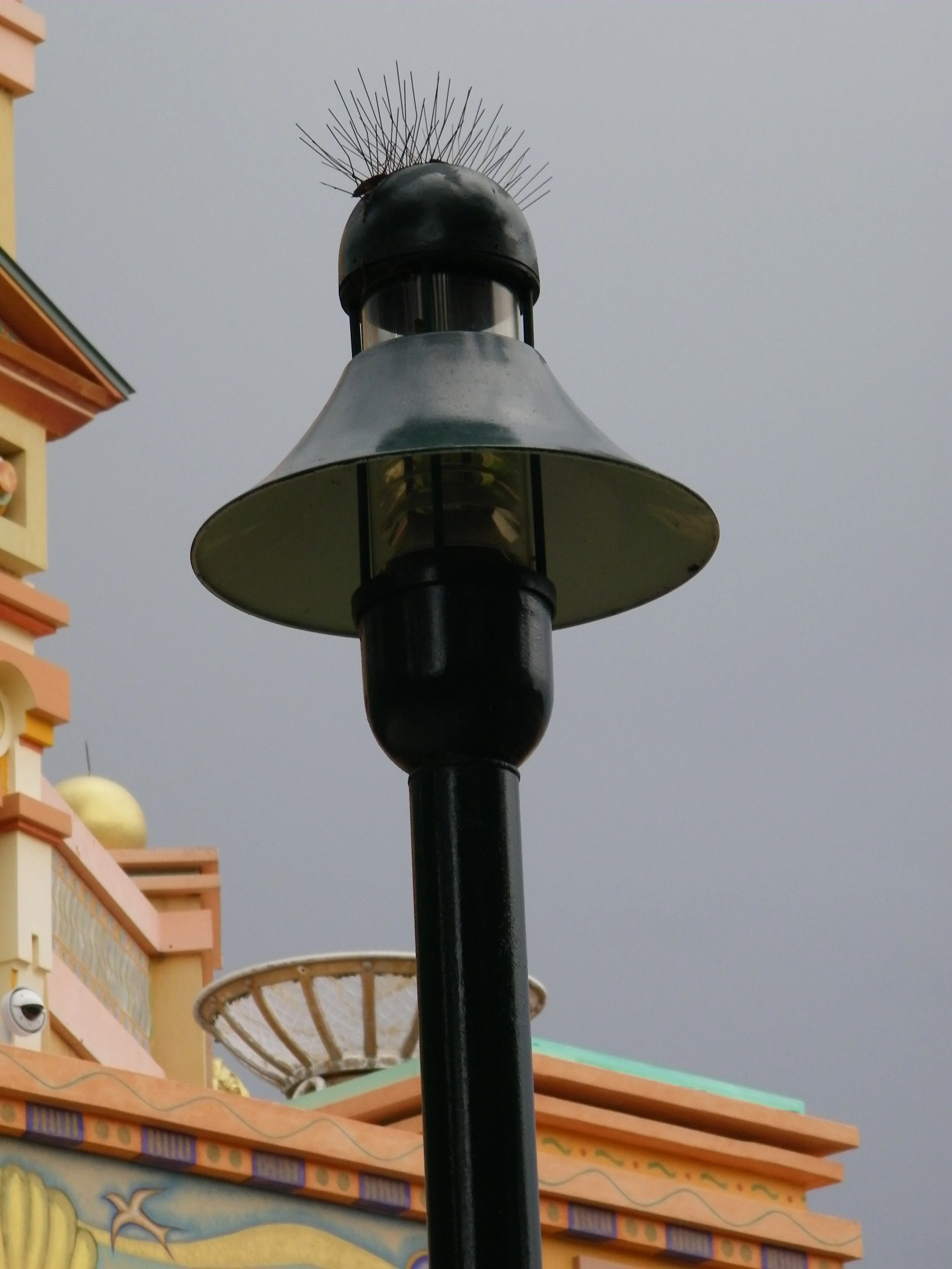 100_6875.JPG