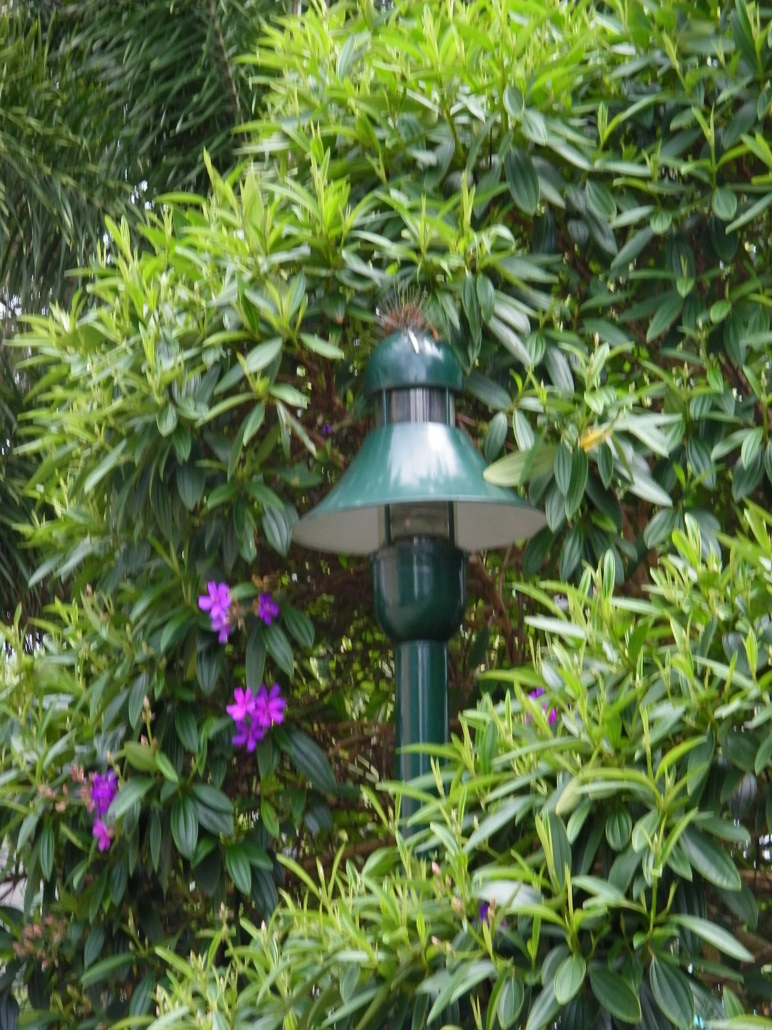100_6888.JPG
