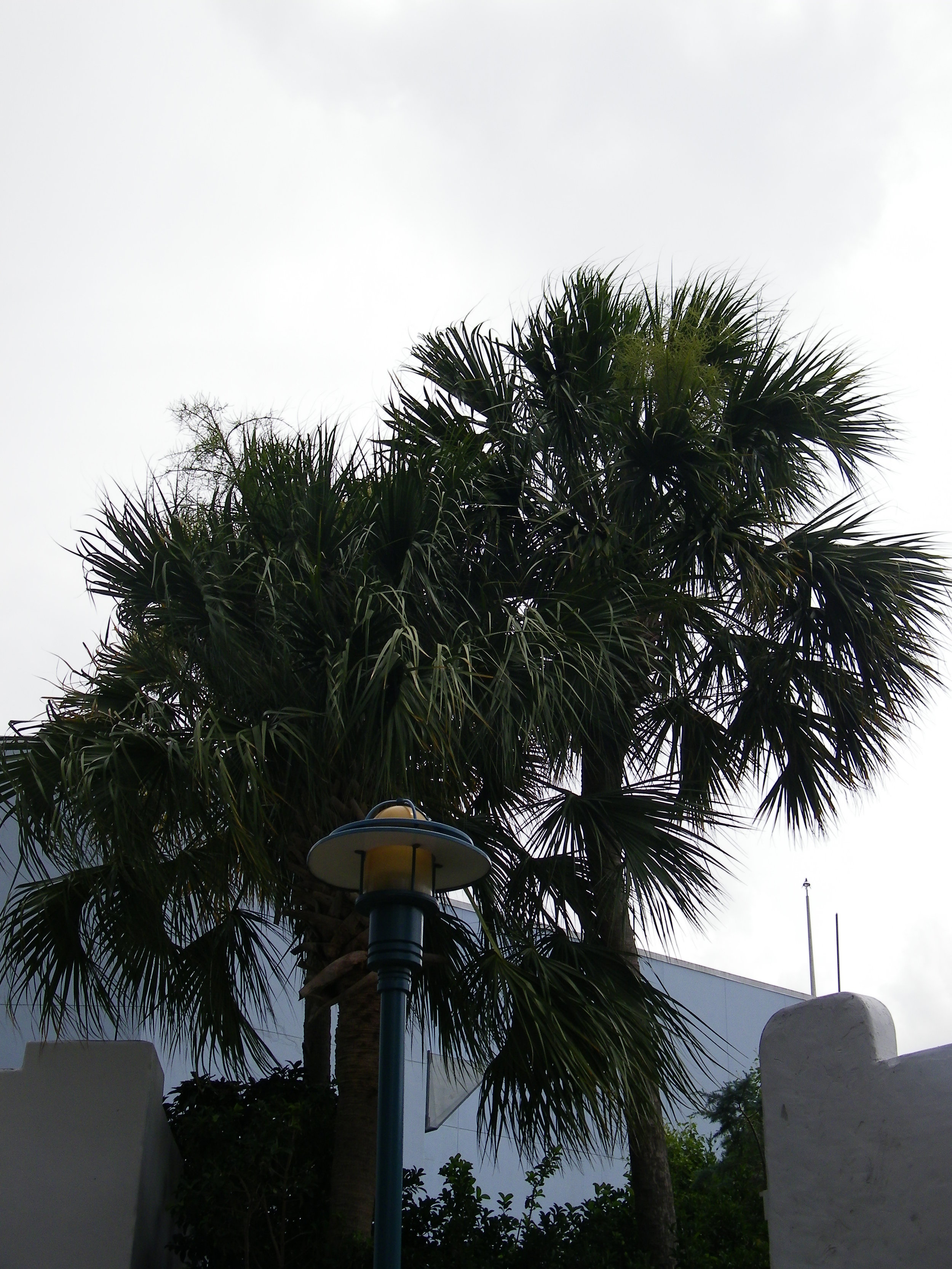 100_6893.JPG