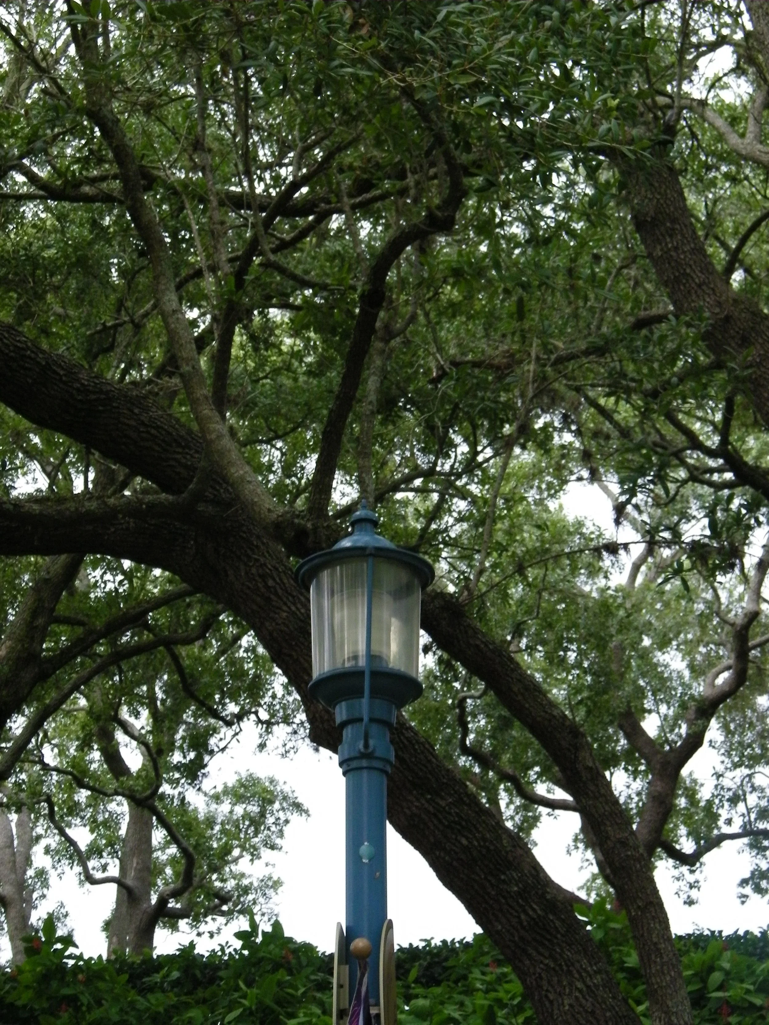 100_6903.JPG