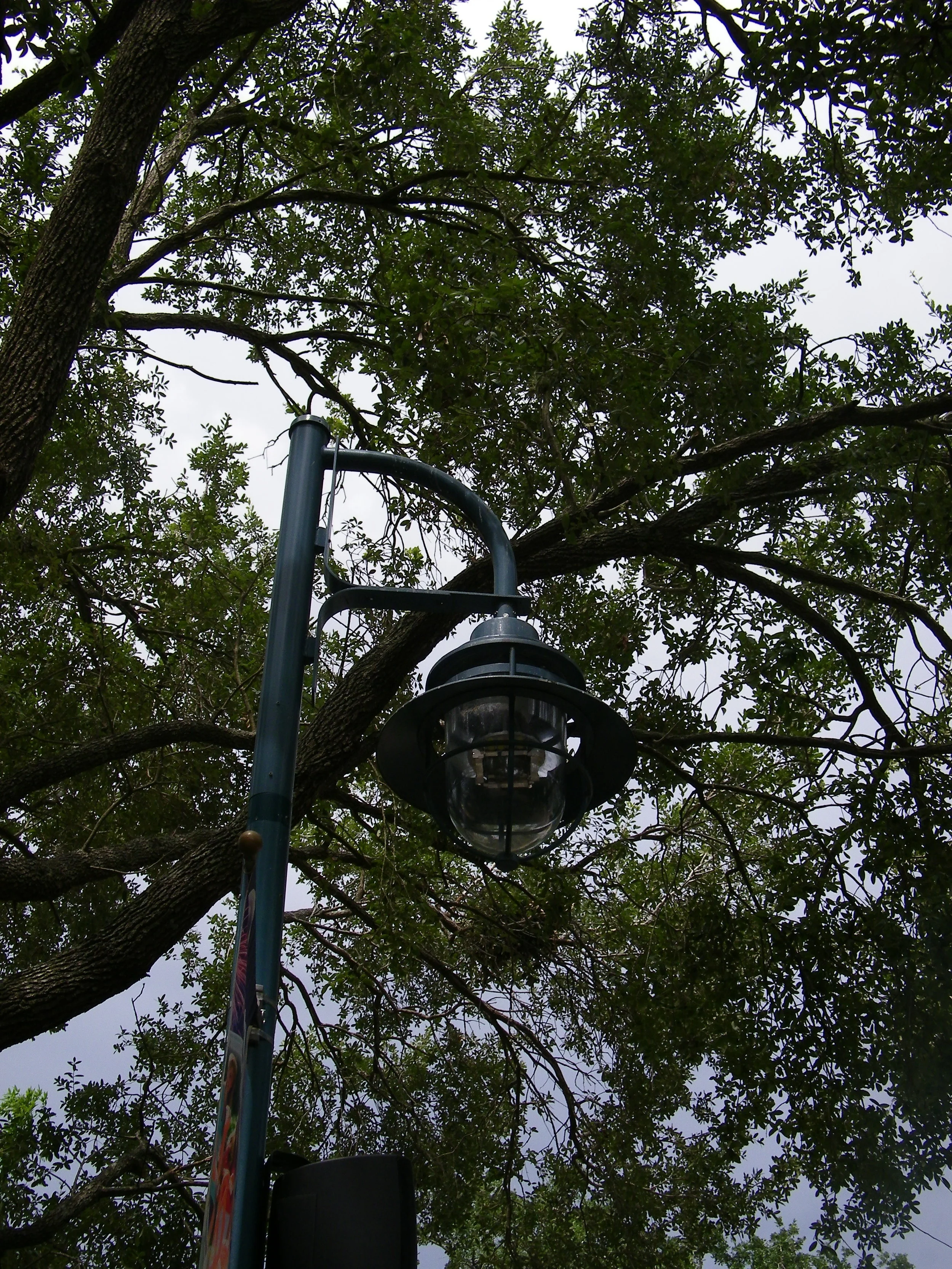 100_6914.JPG