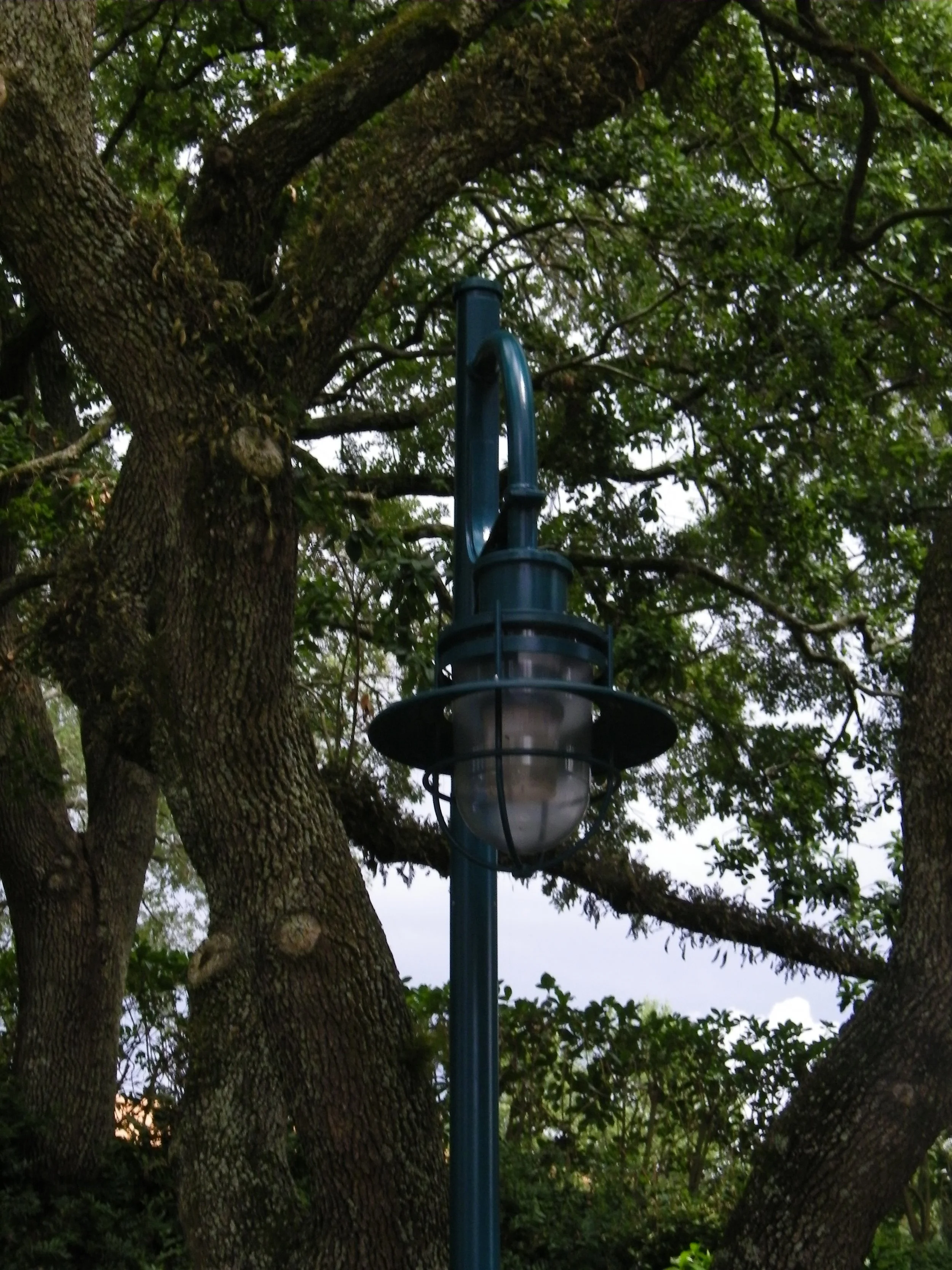 100_6919.JPG