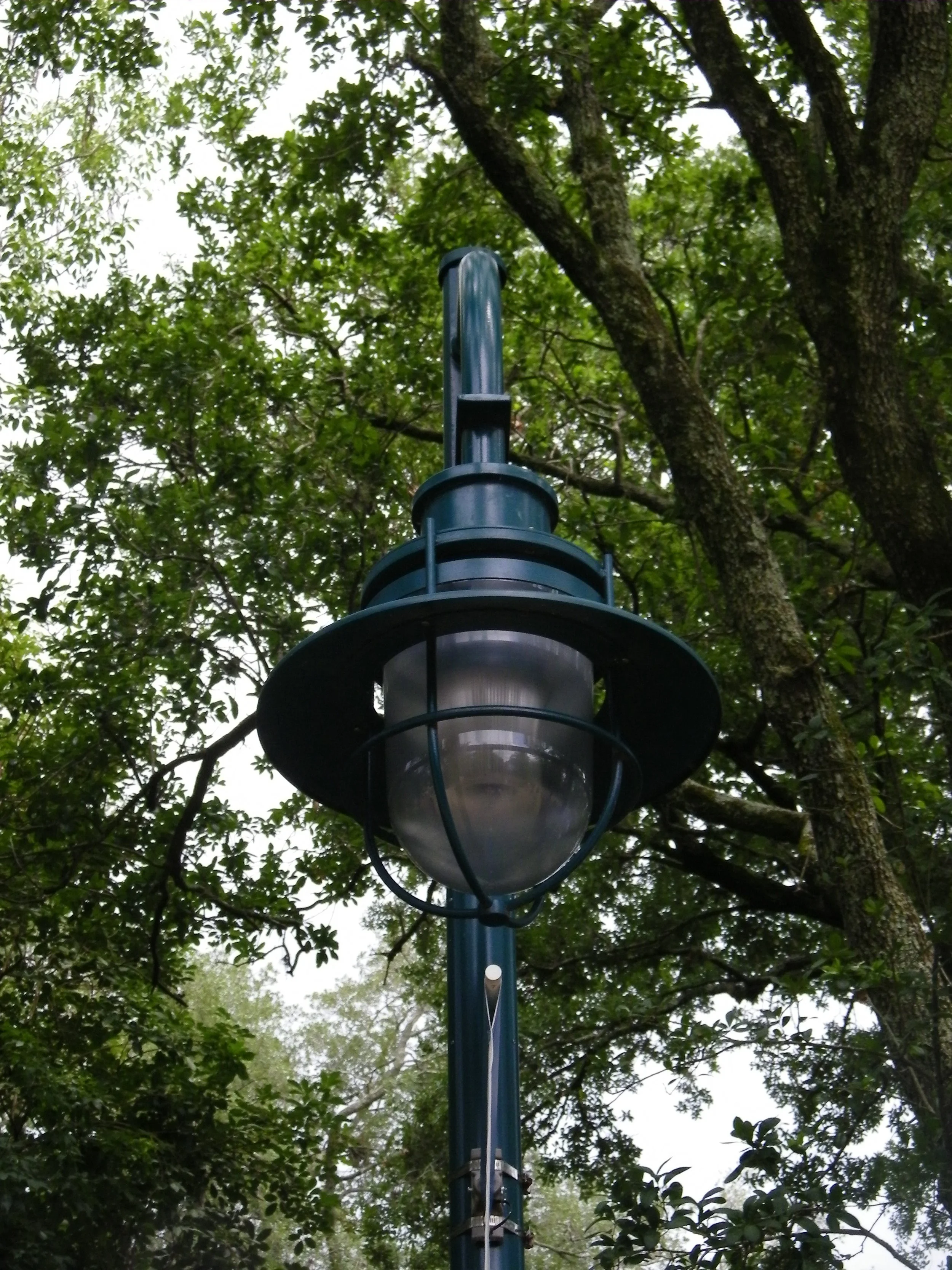 100_6920.JPG