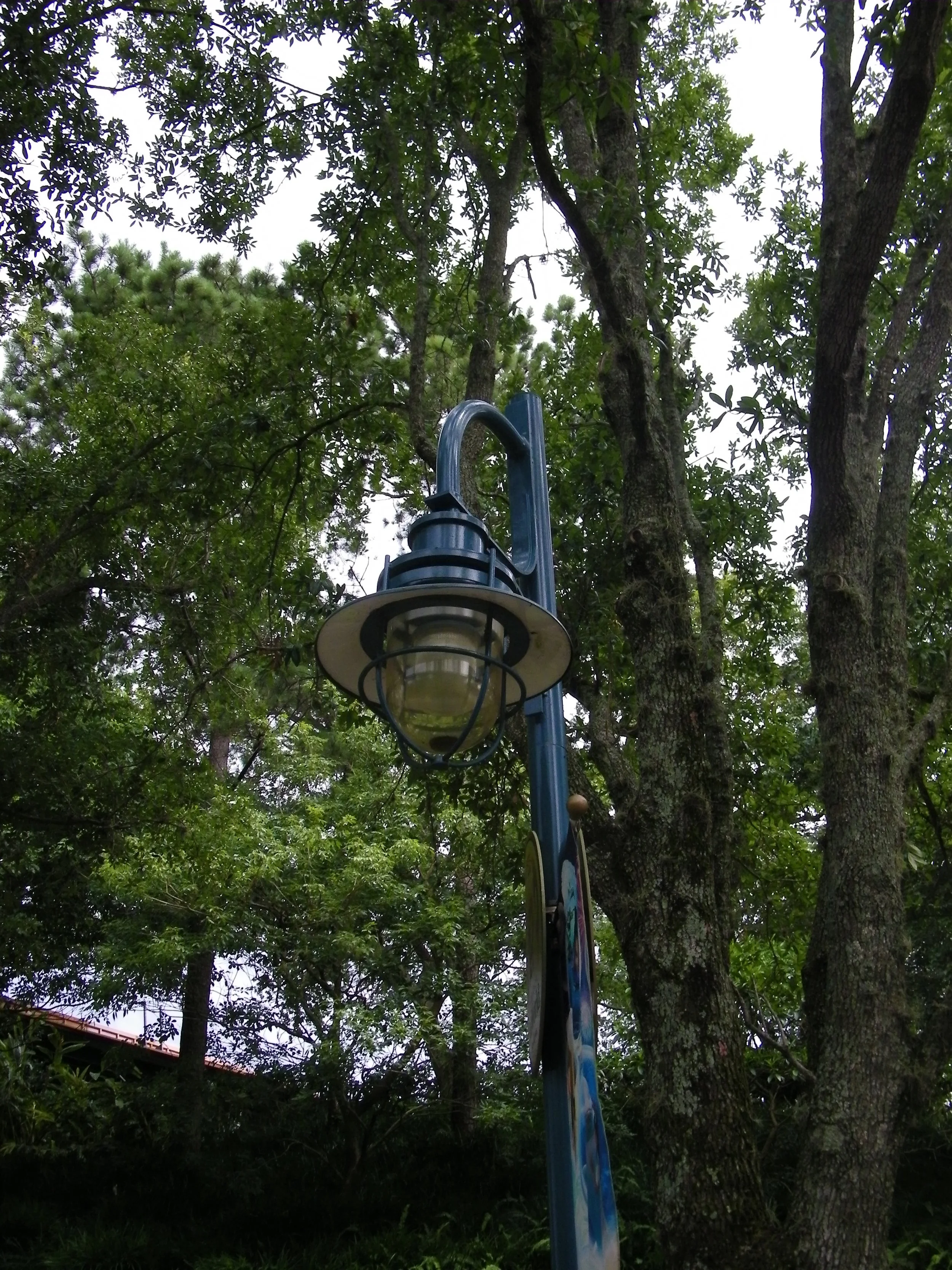 100_6922.JPG
