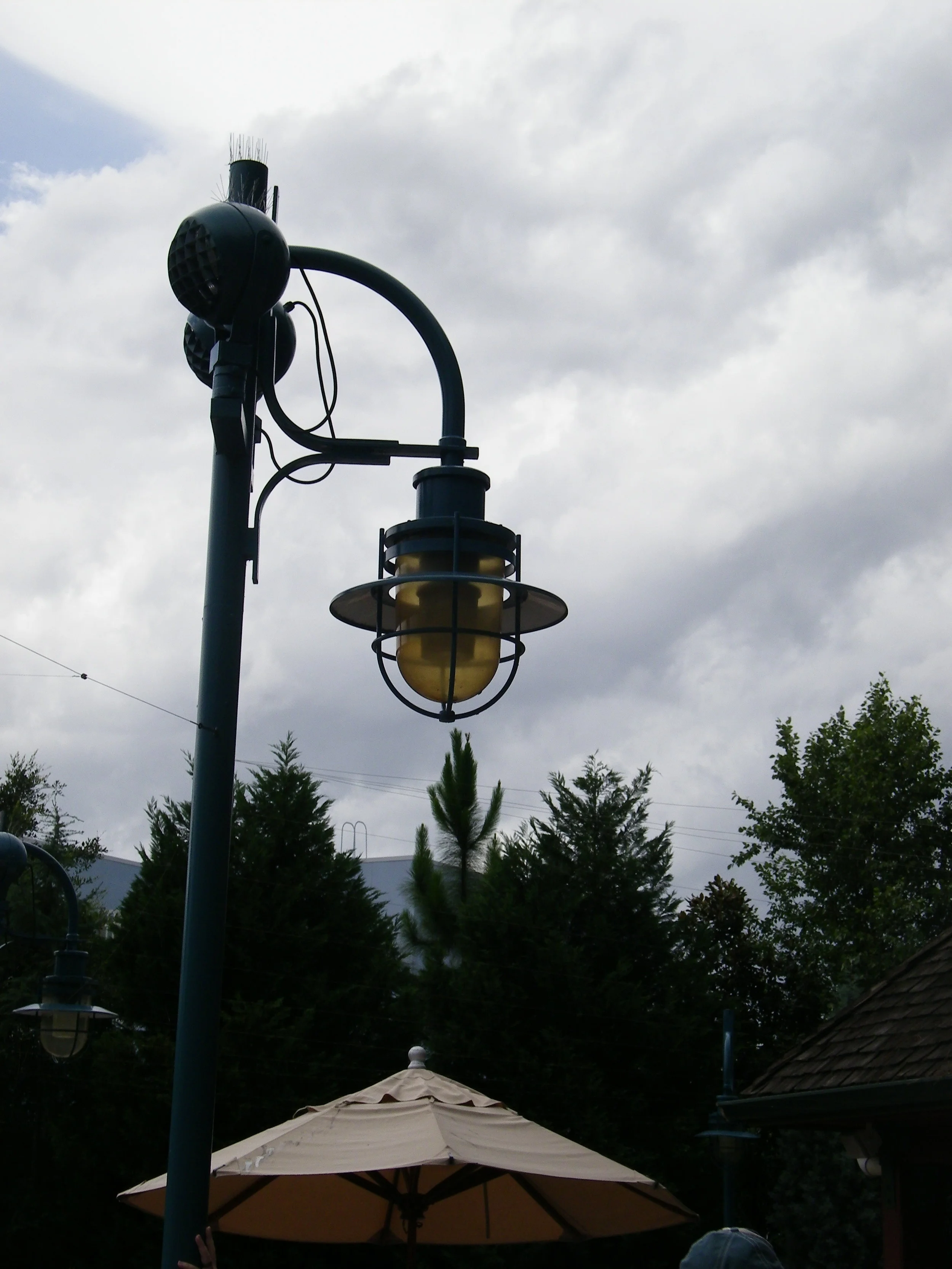 100_6949.JPG