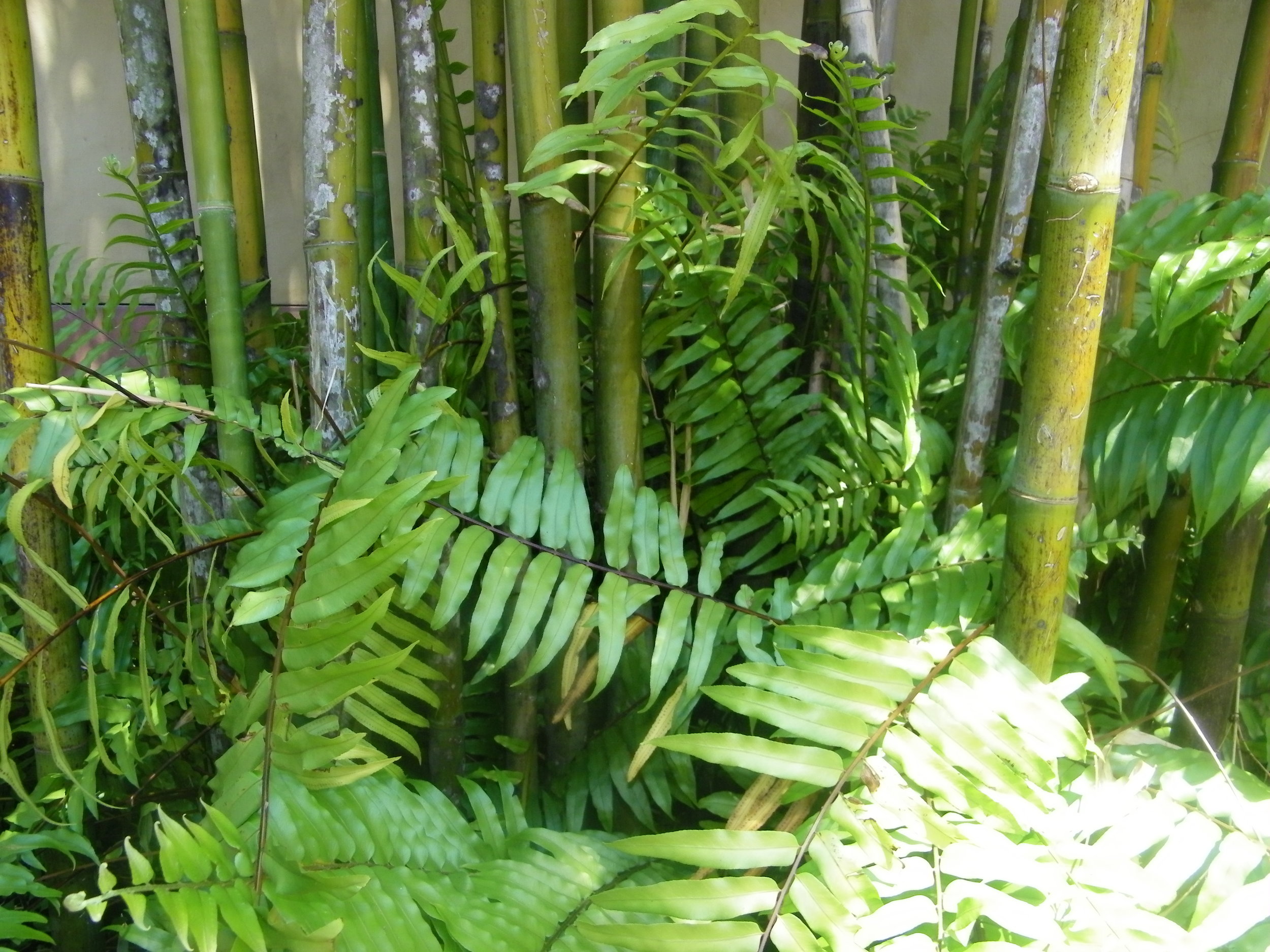 100_5495.JPG
