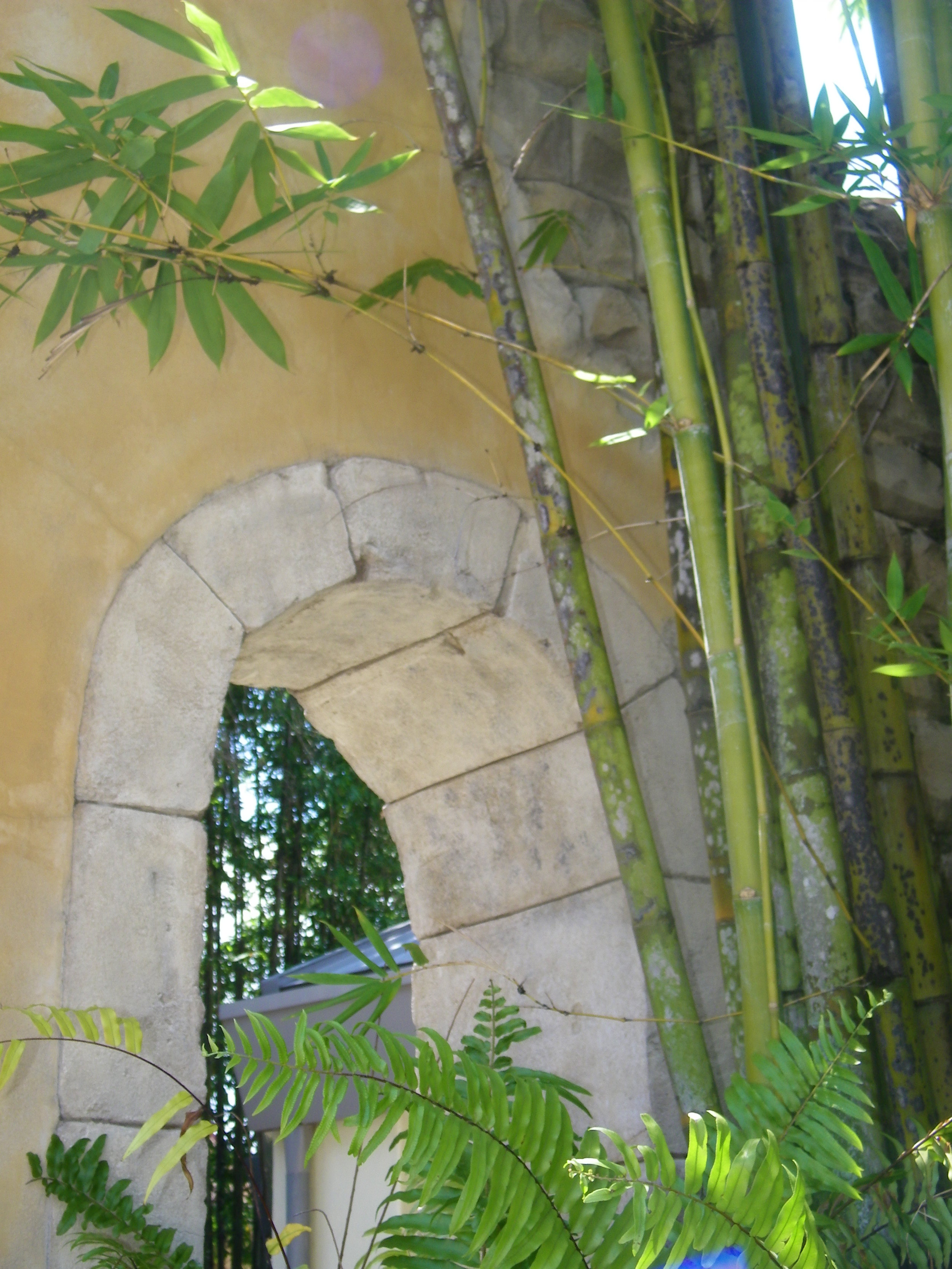 100_5507.JPG