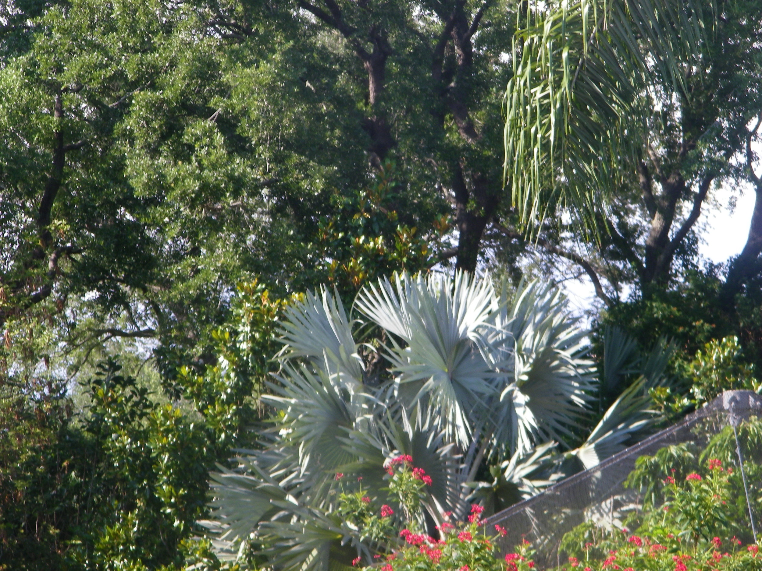 100_5853.JPG