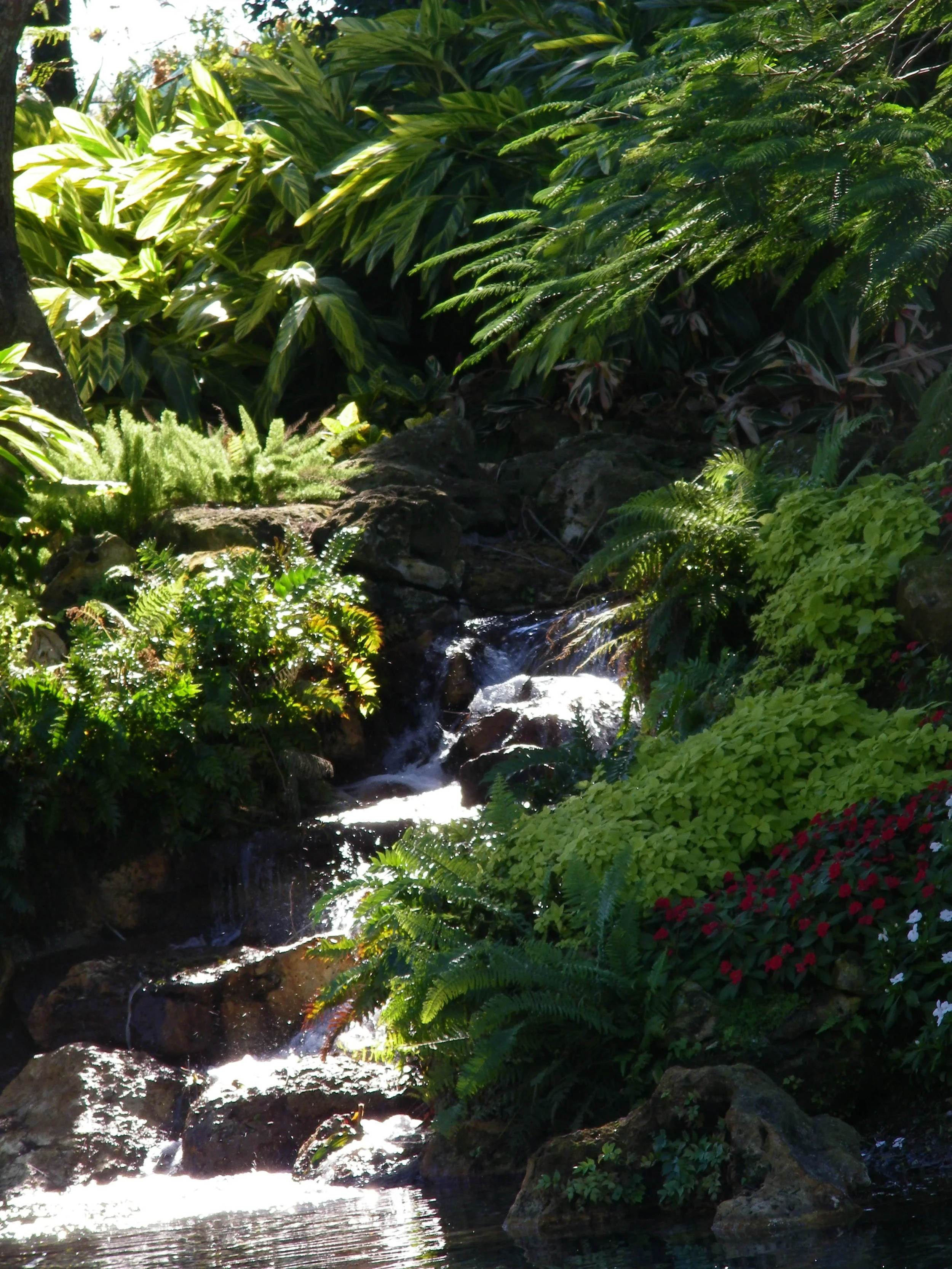 100_0079.JPG