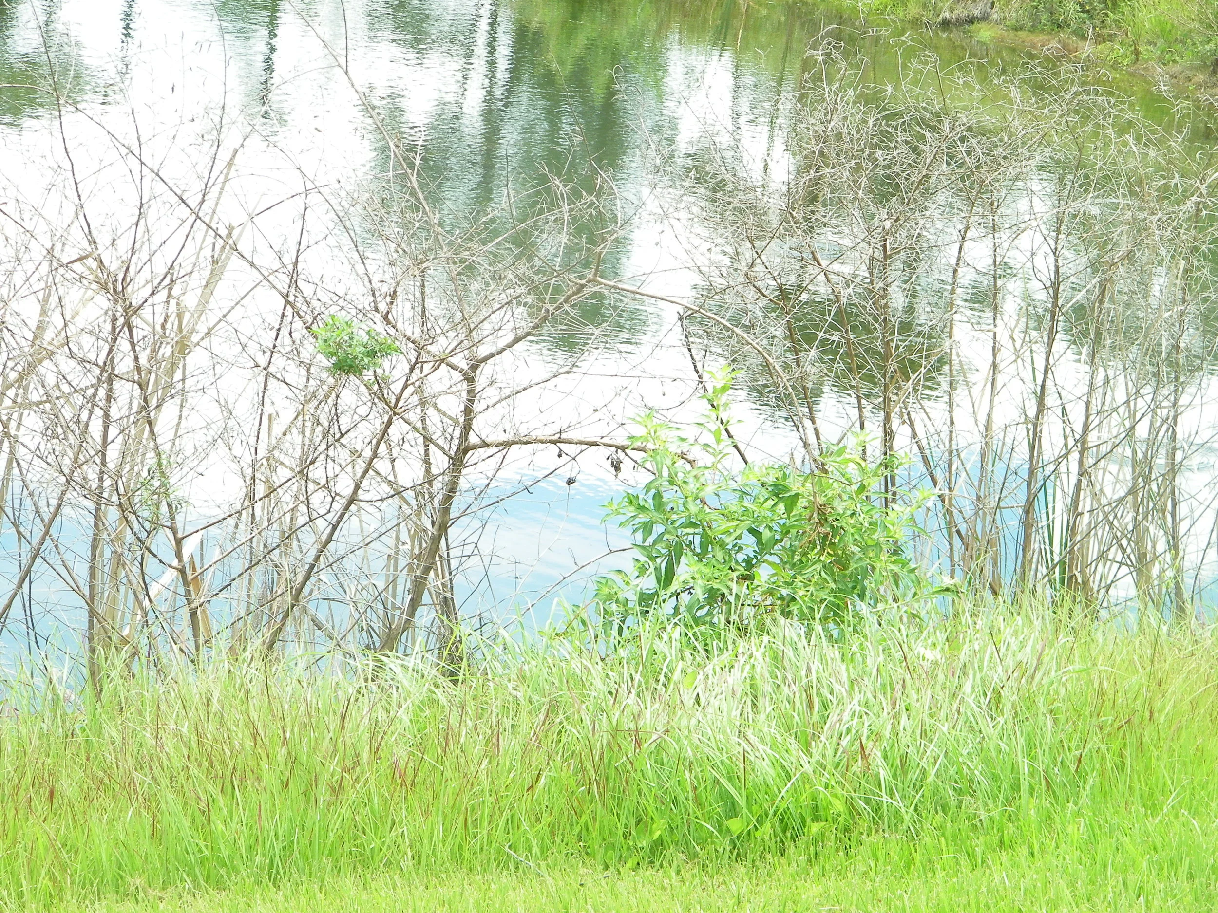 100_6369.JPG