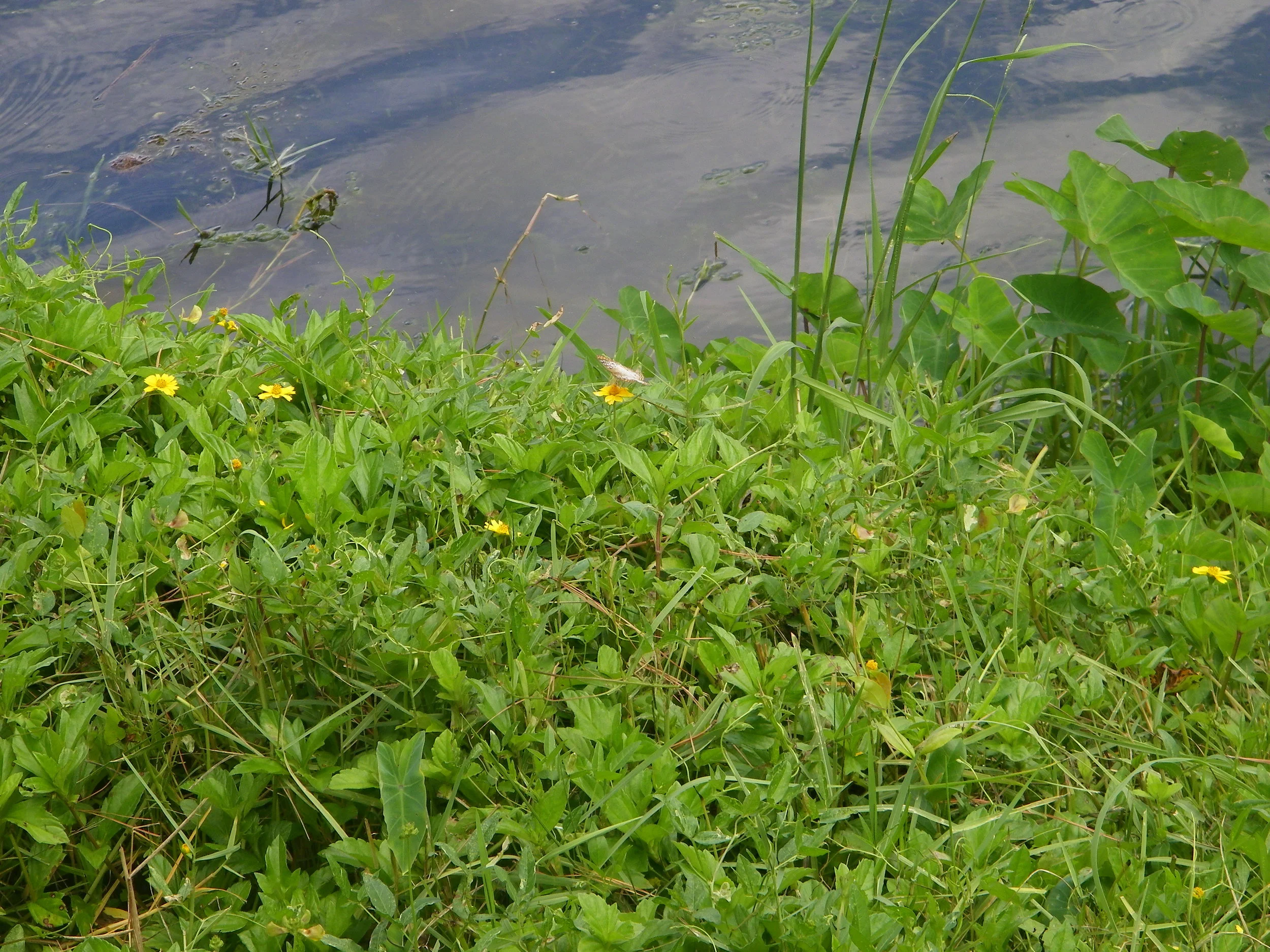100_6495.JPG