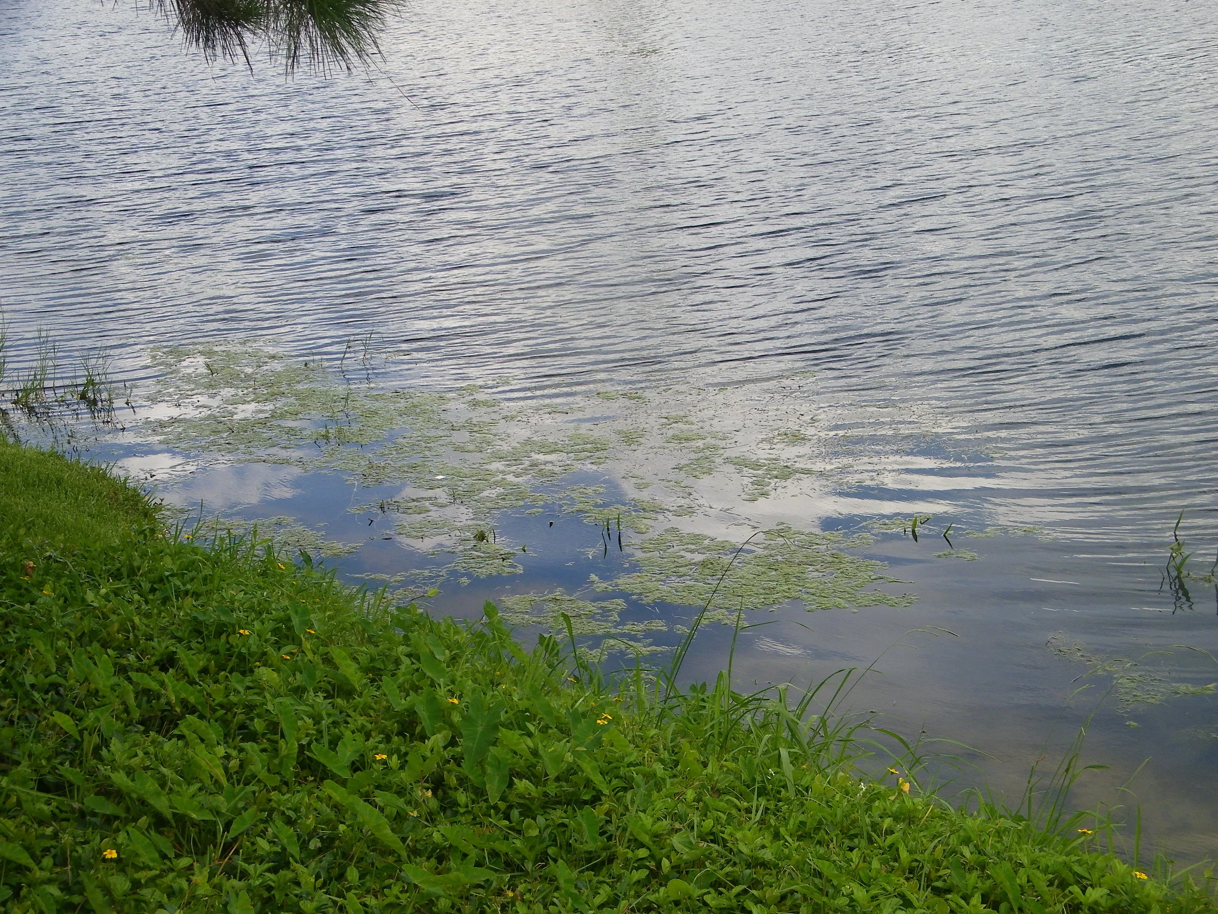 100_6499.JPG