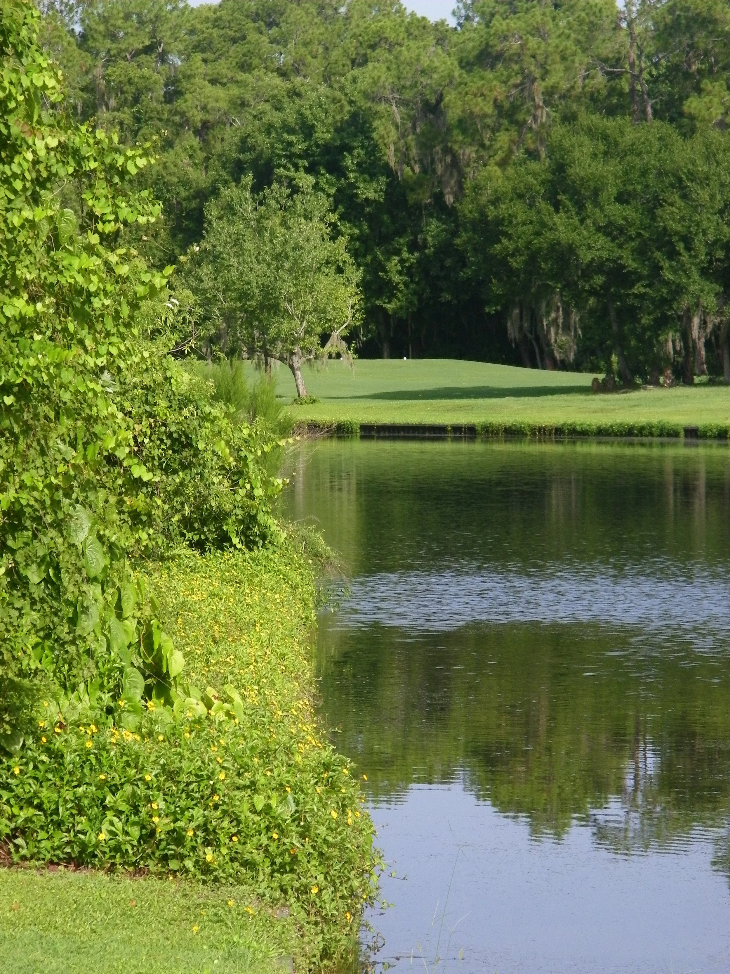 100_7240.JPG