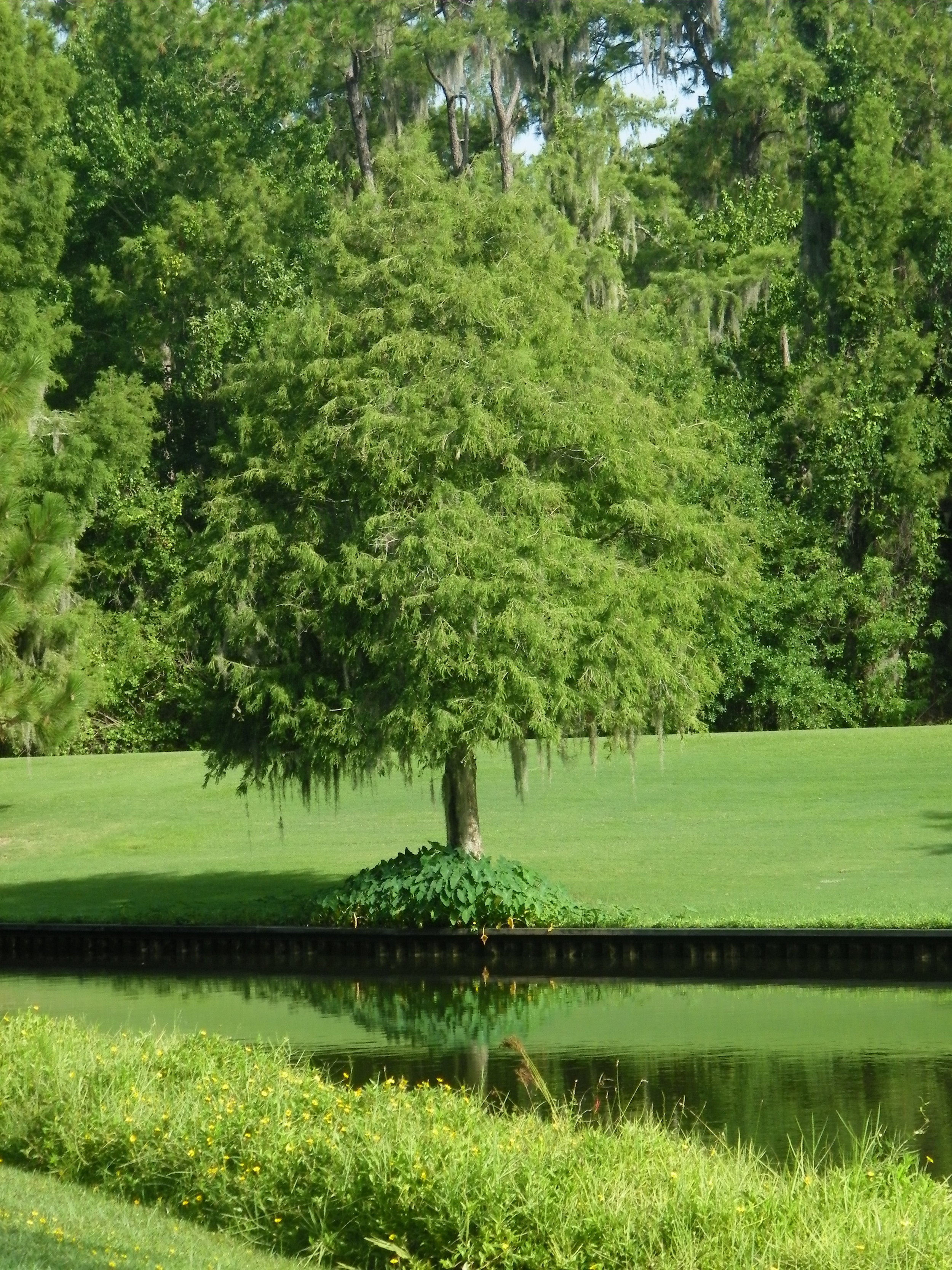 100_7243.JPG