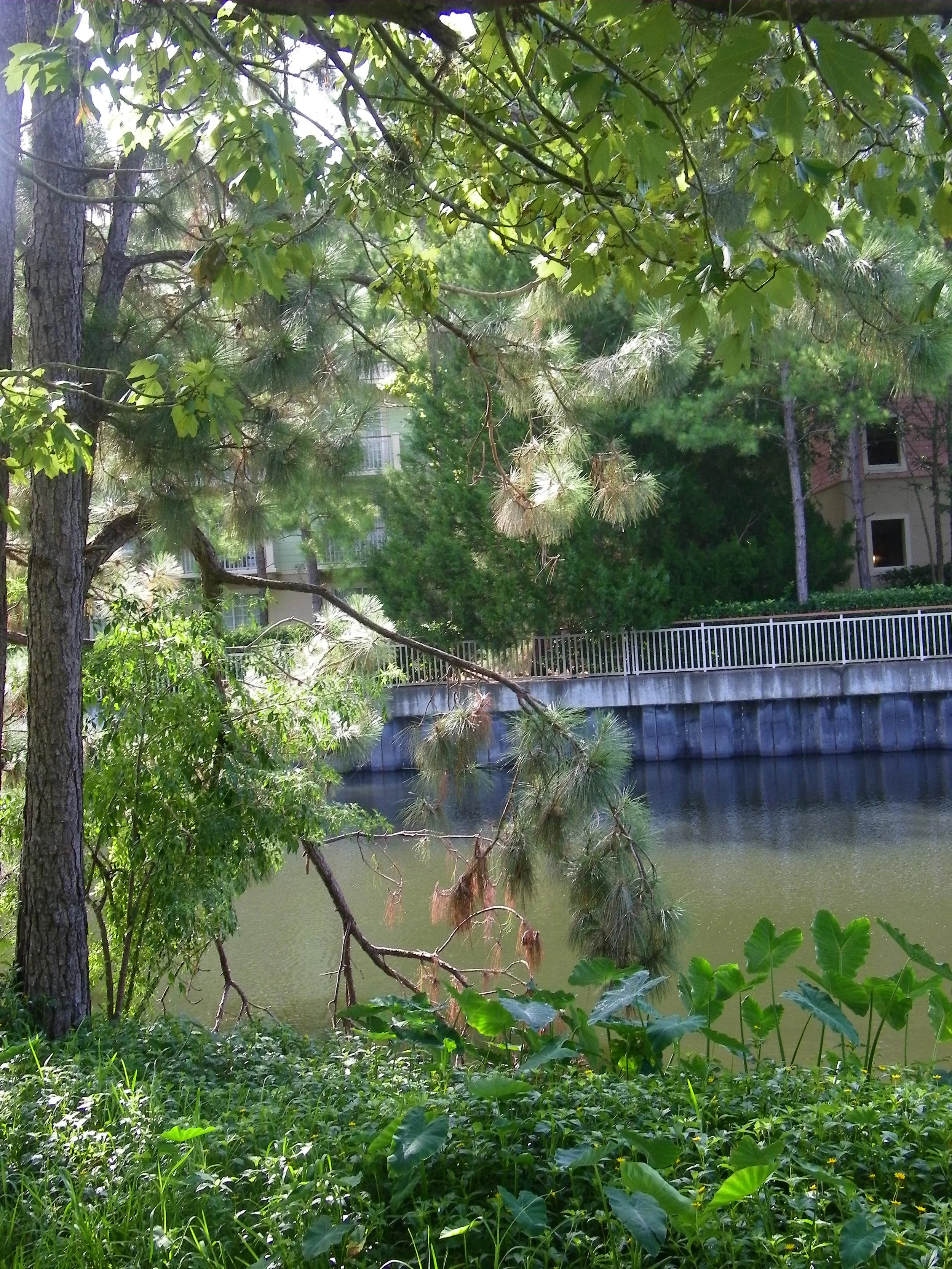 100_7267.JPG