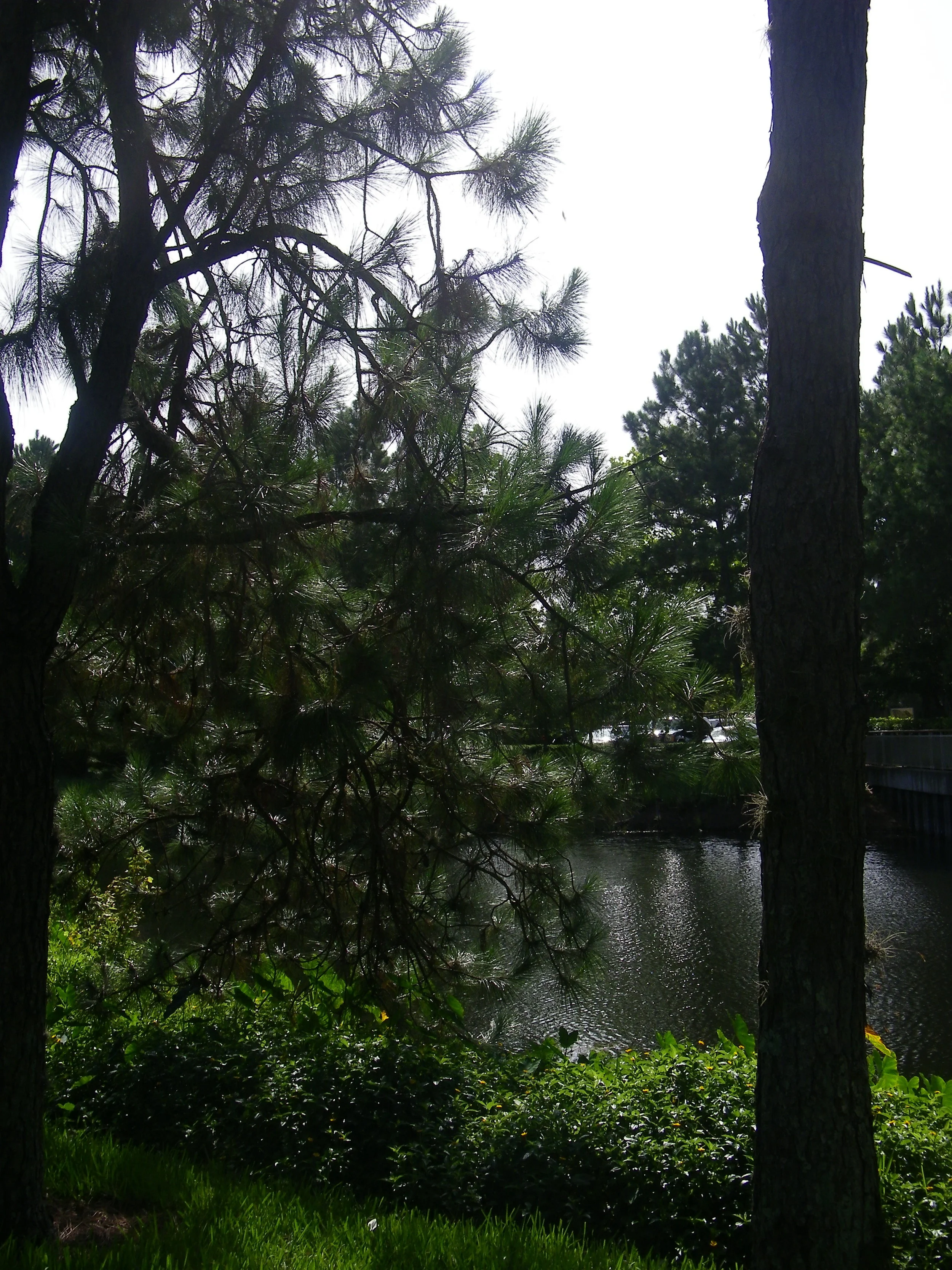 100_7269.JPG