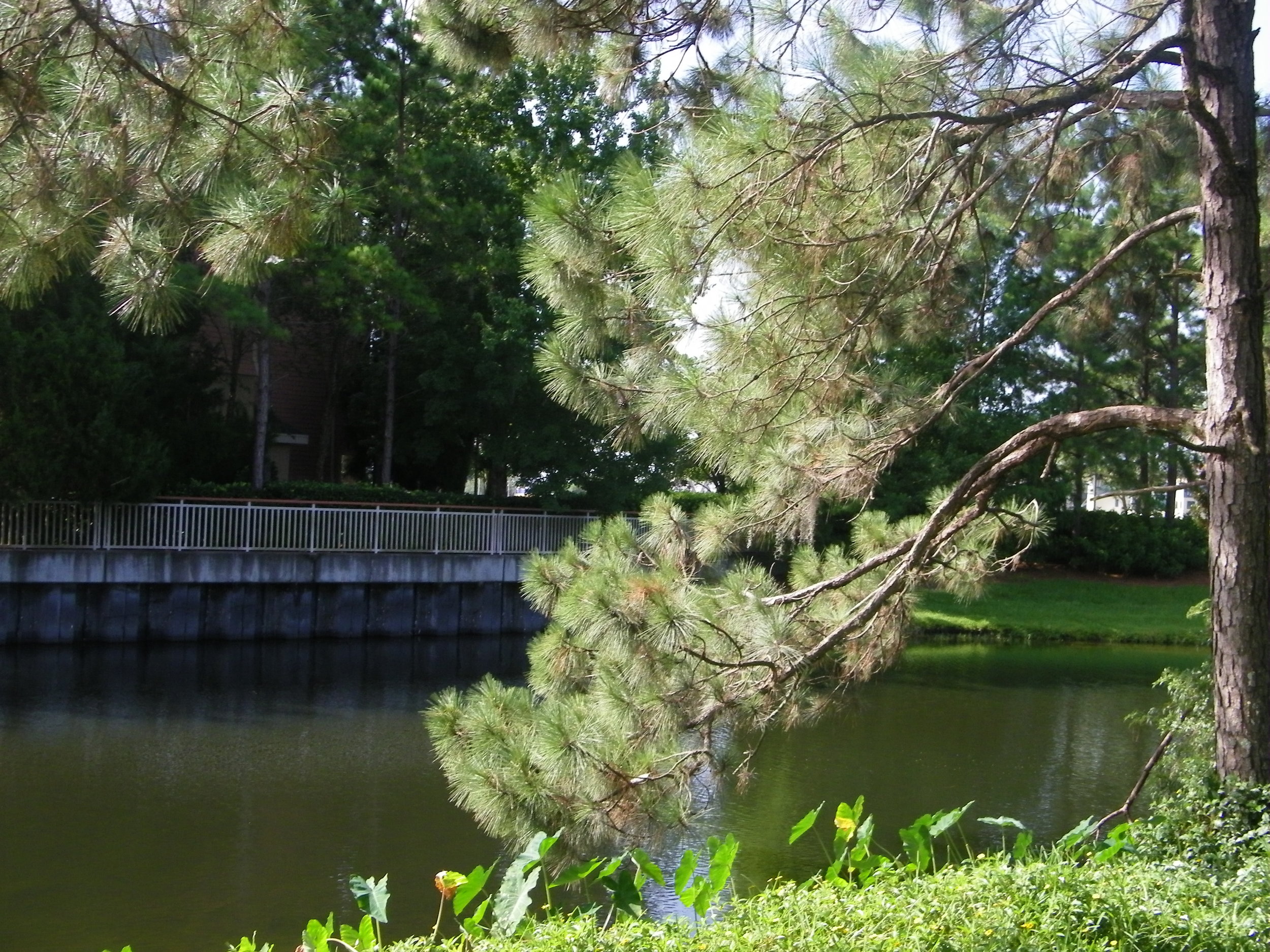 100_7270.JPG