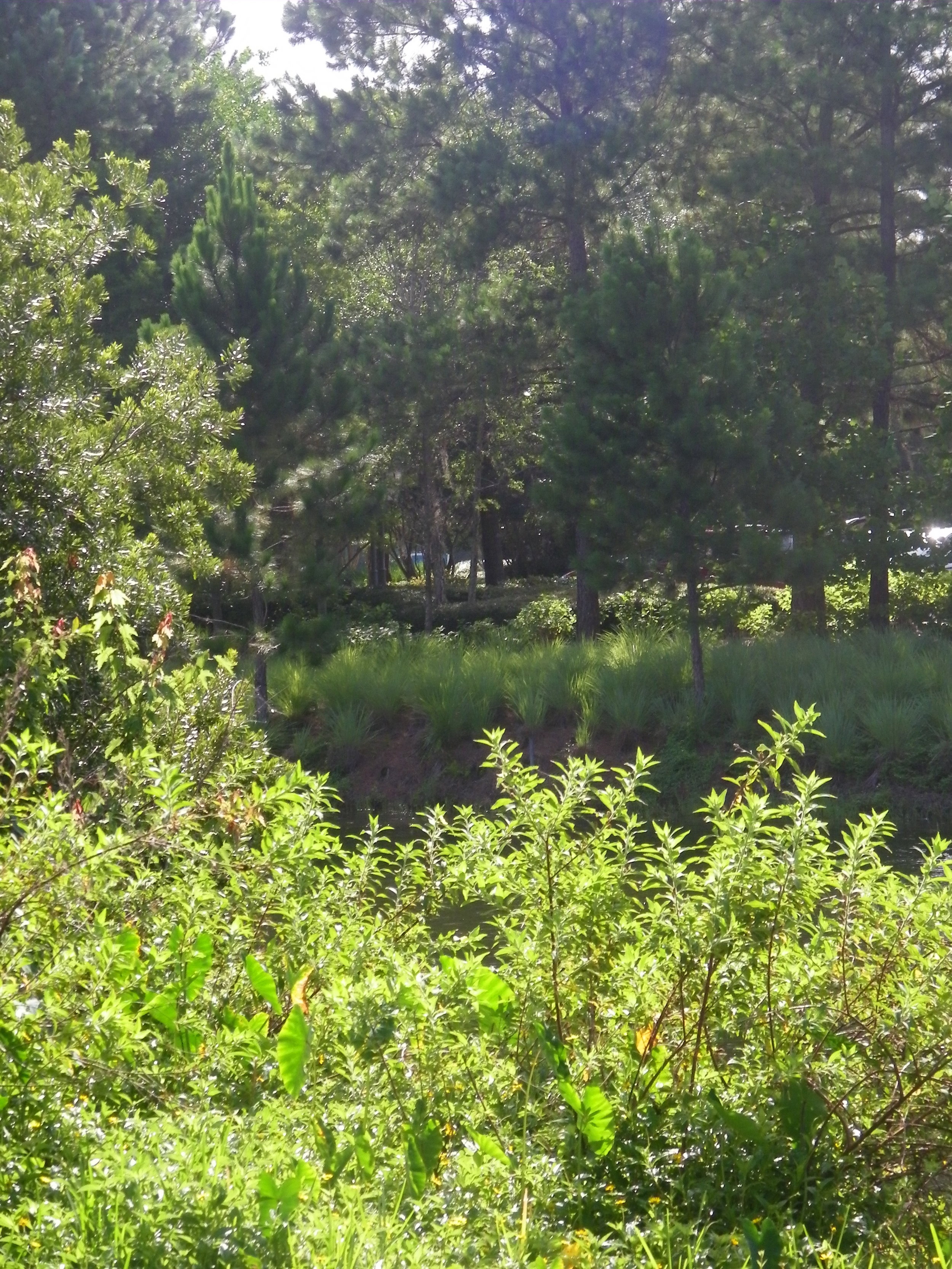 100_7271.JPG
