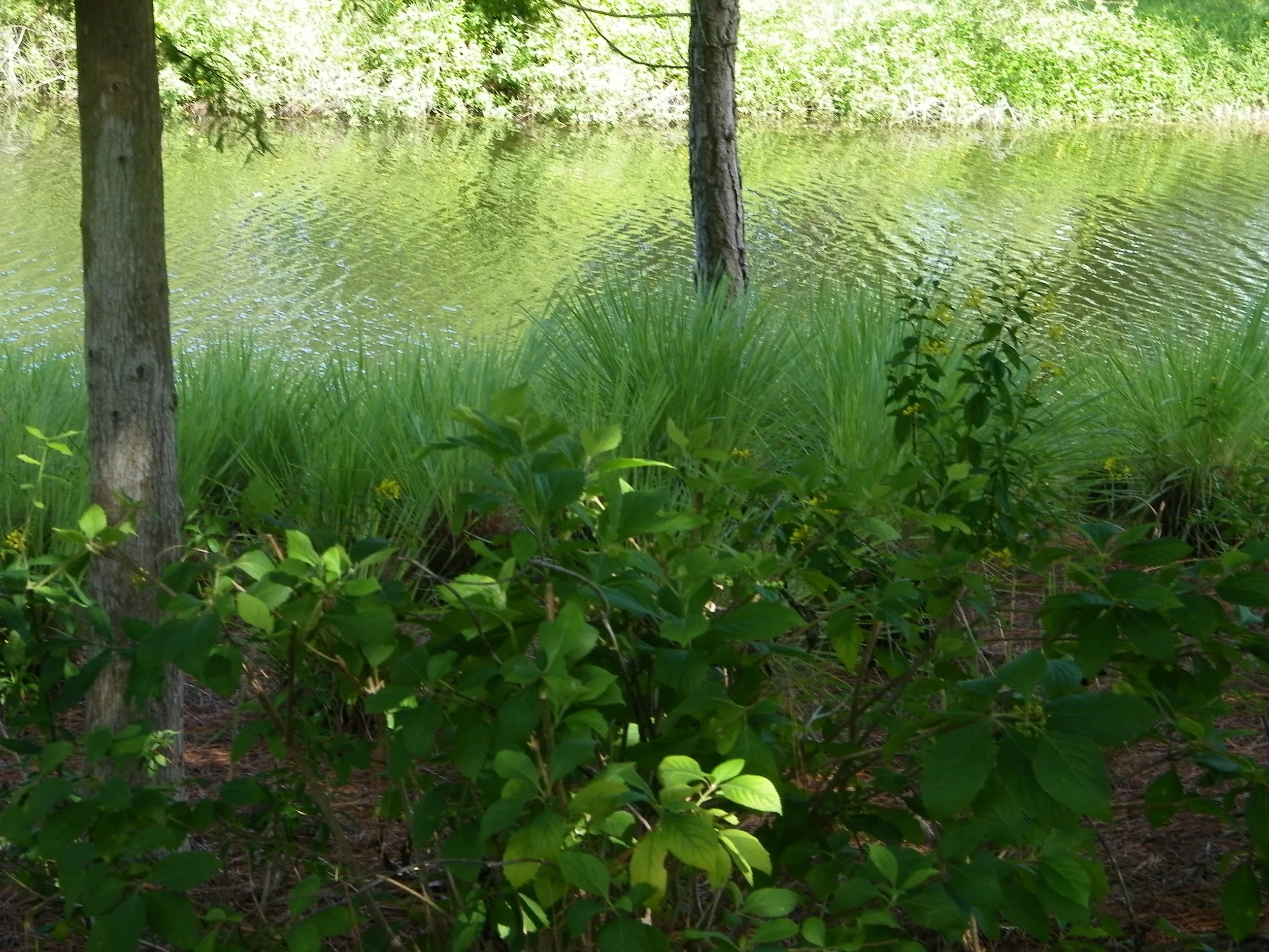 100_7279.JPG