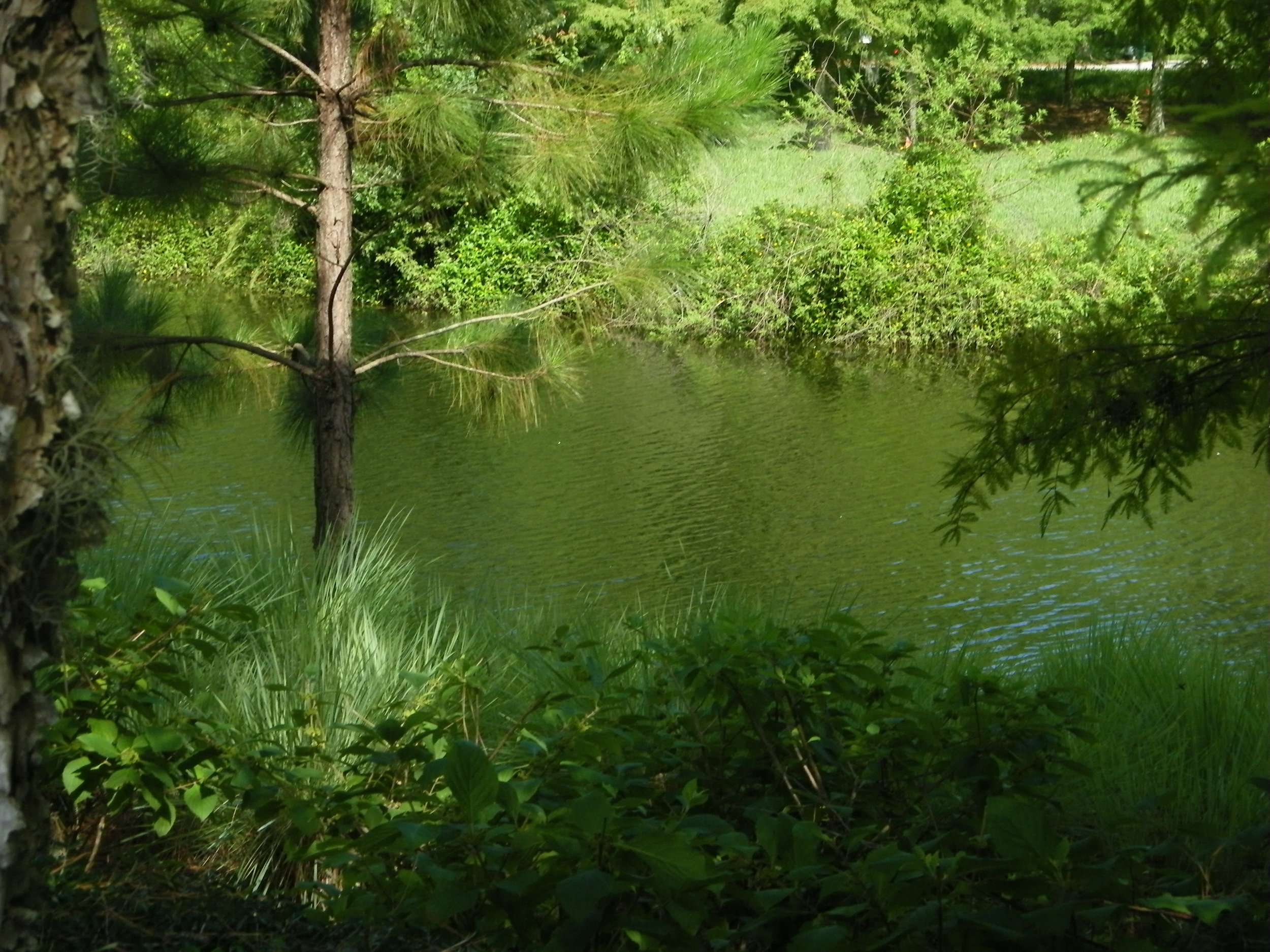 100_7280.JPG
