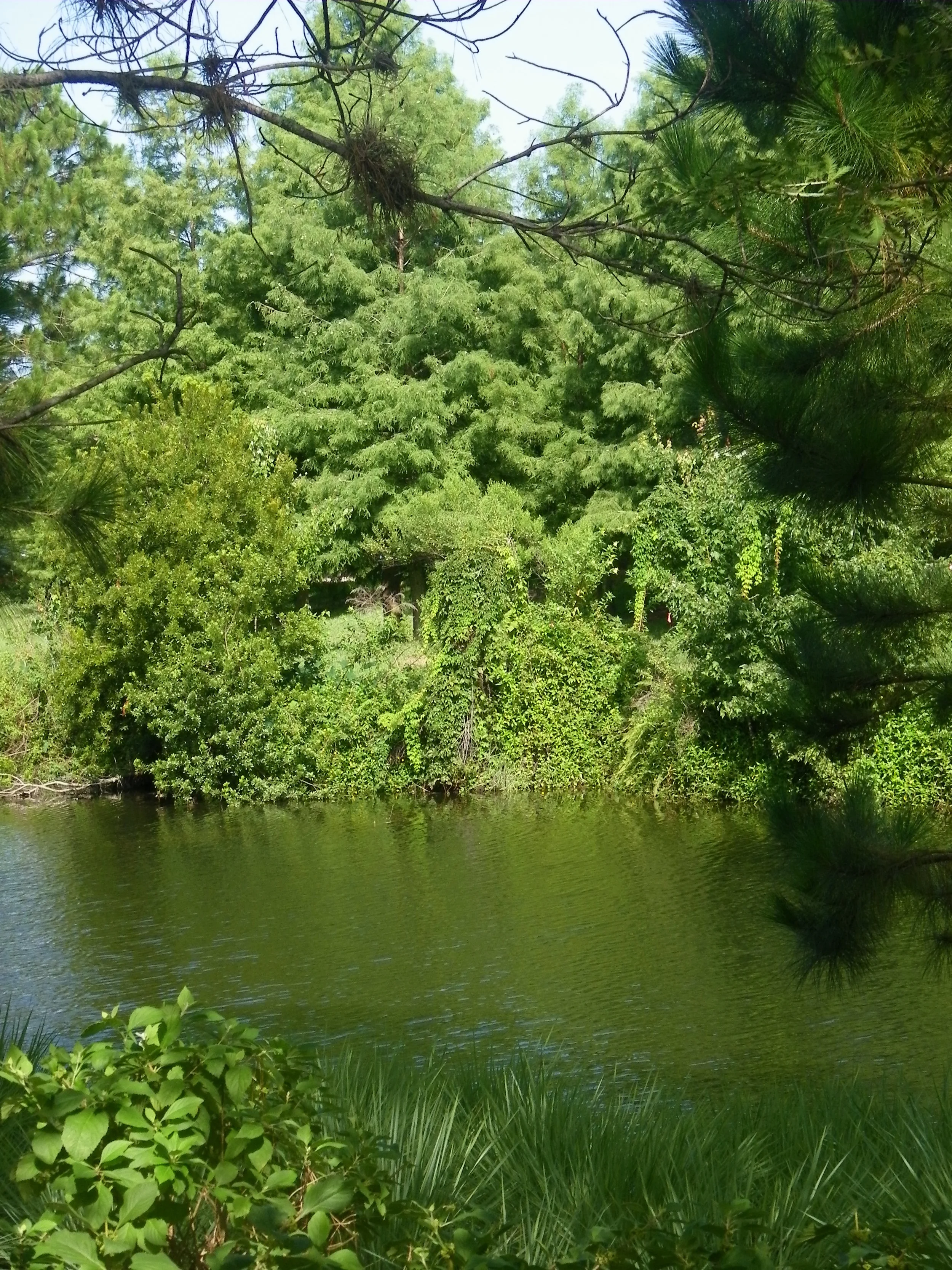 100_7281.JPG