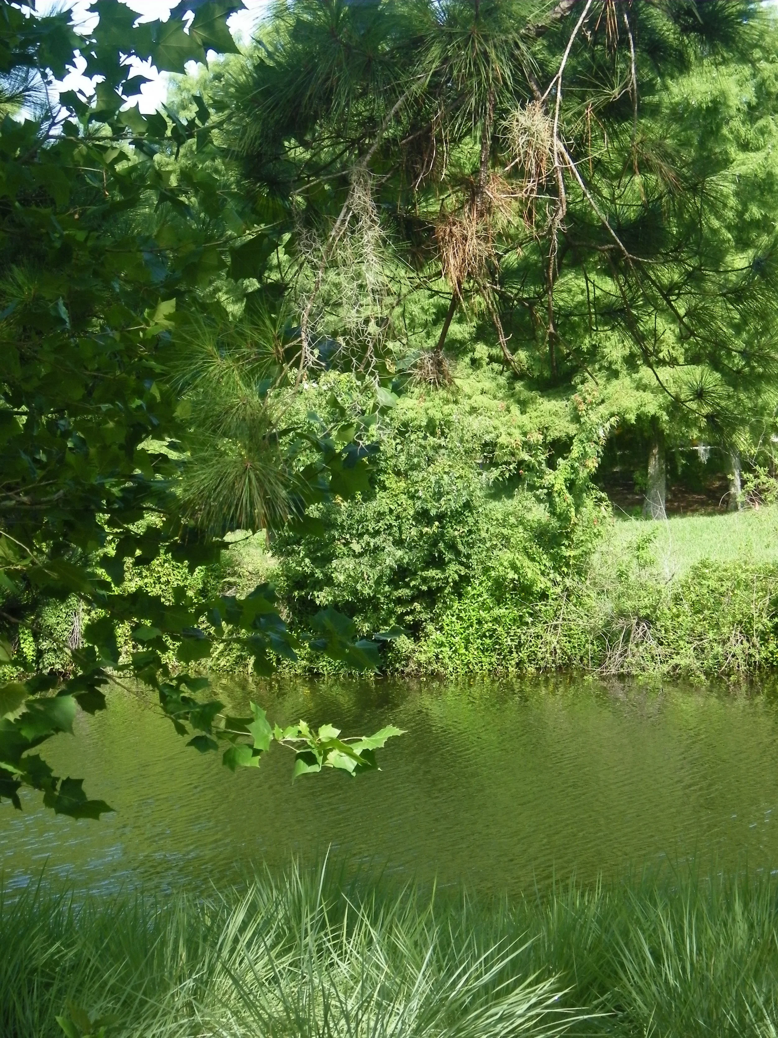 100_7282.JPG