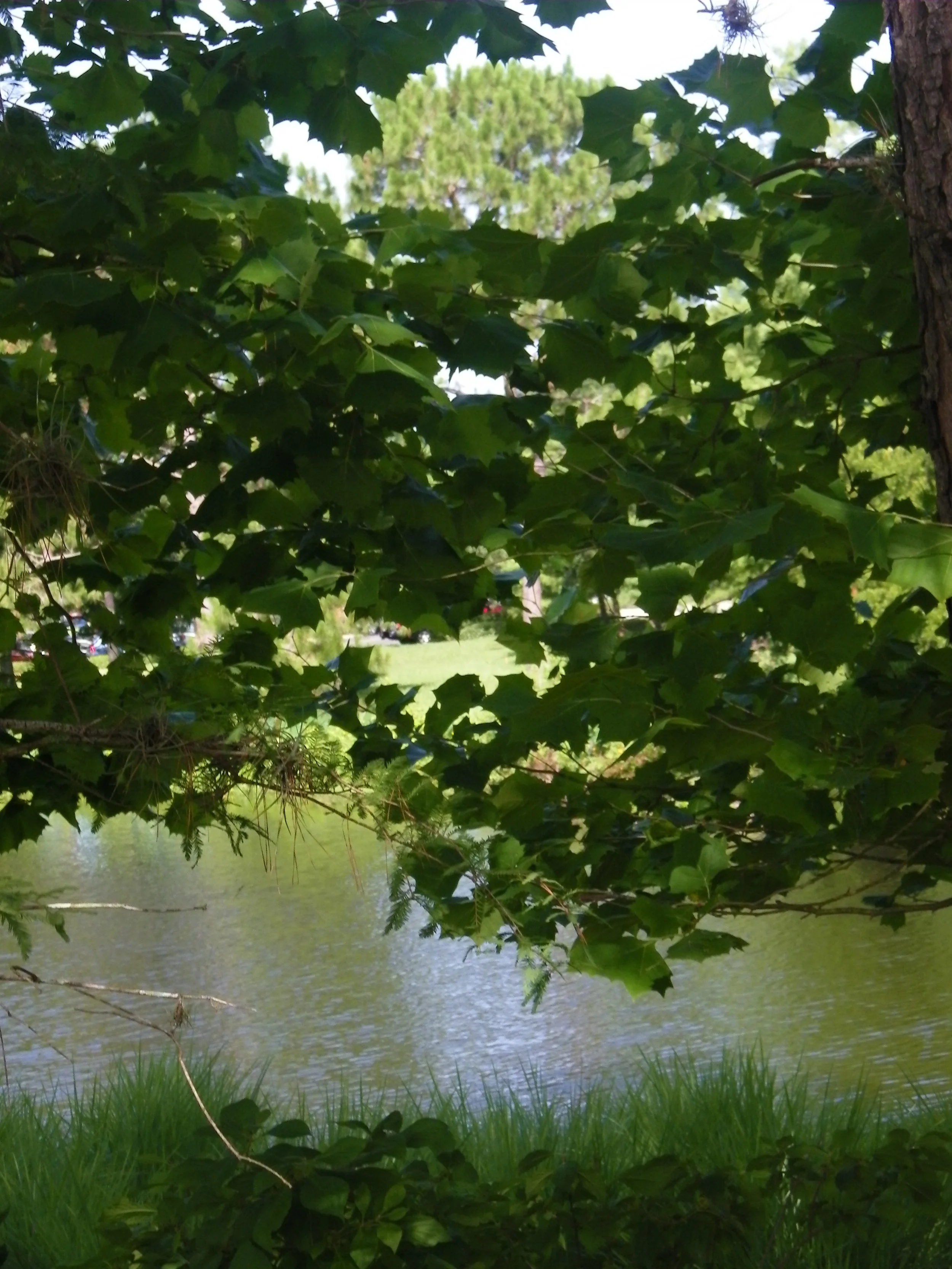 100_7283.JPG