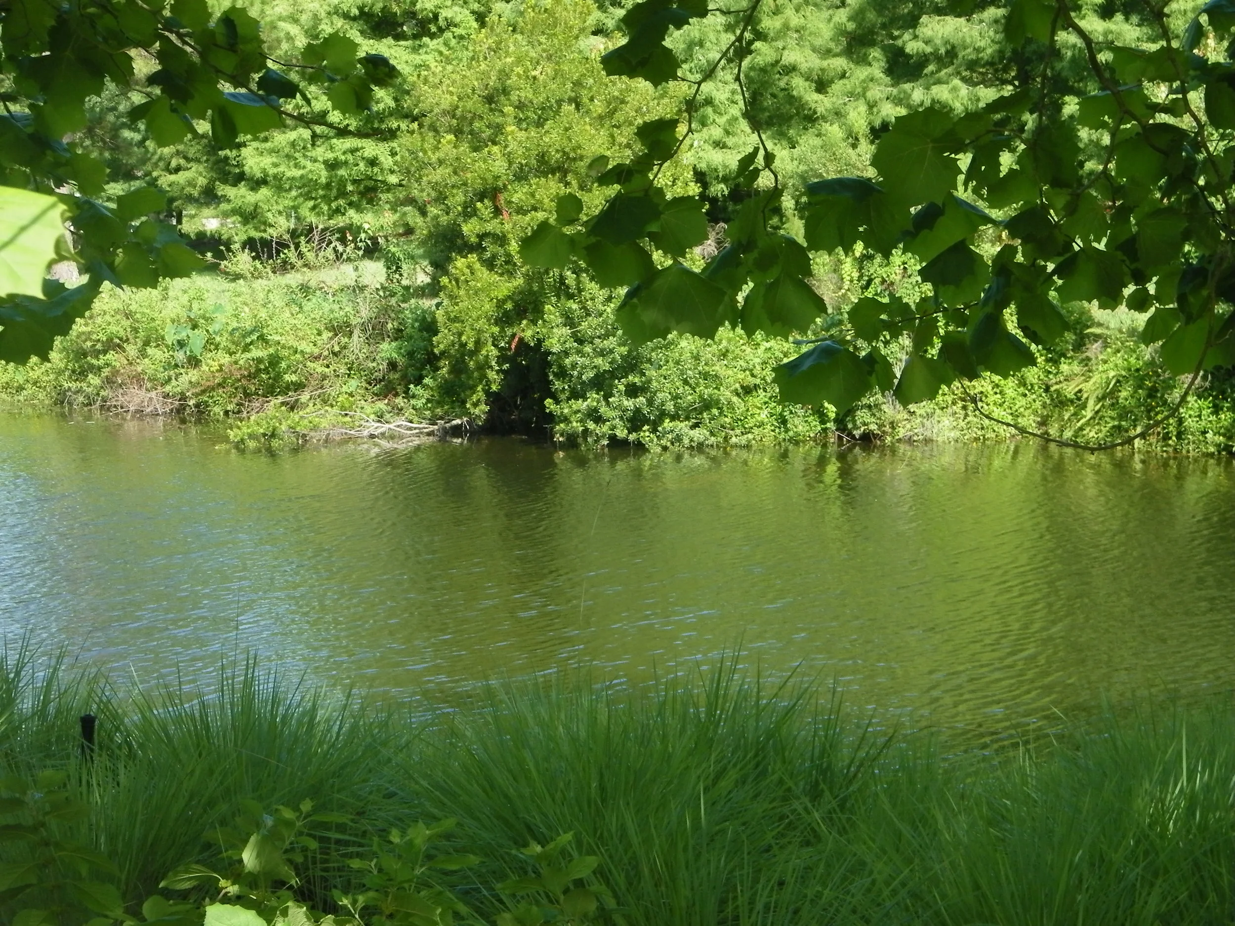 100_7284.JPG